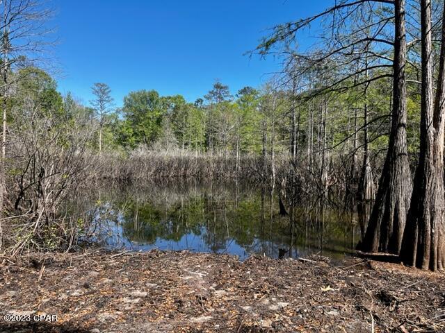2348 Old Mill Road Bonifay, FL 32425 - Photo 6 of 8 Gallery Image 6