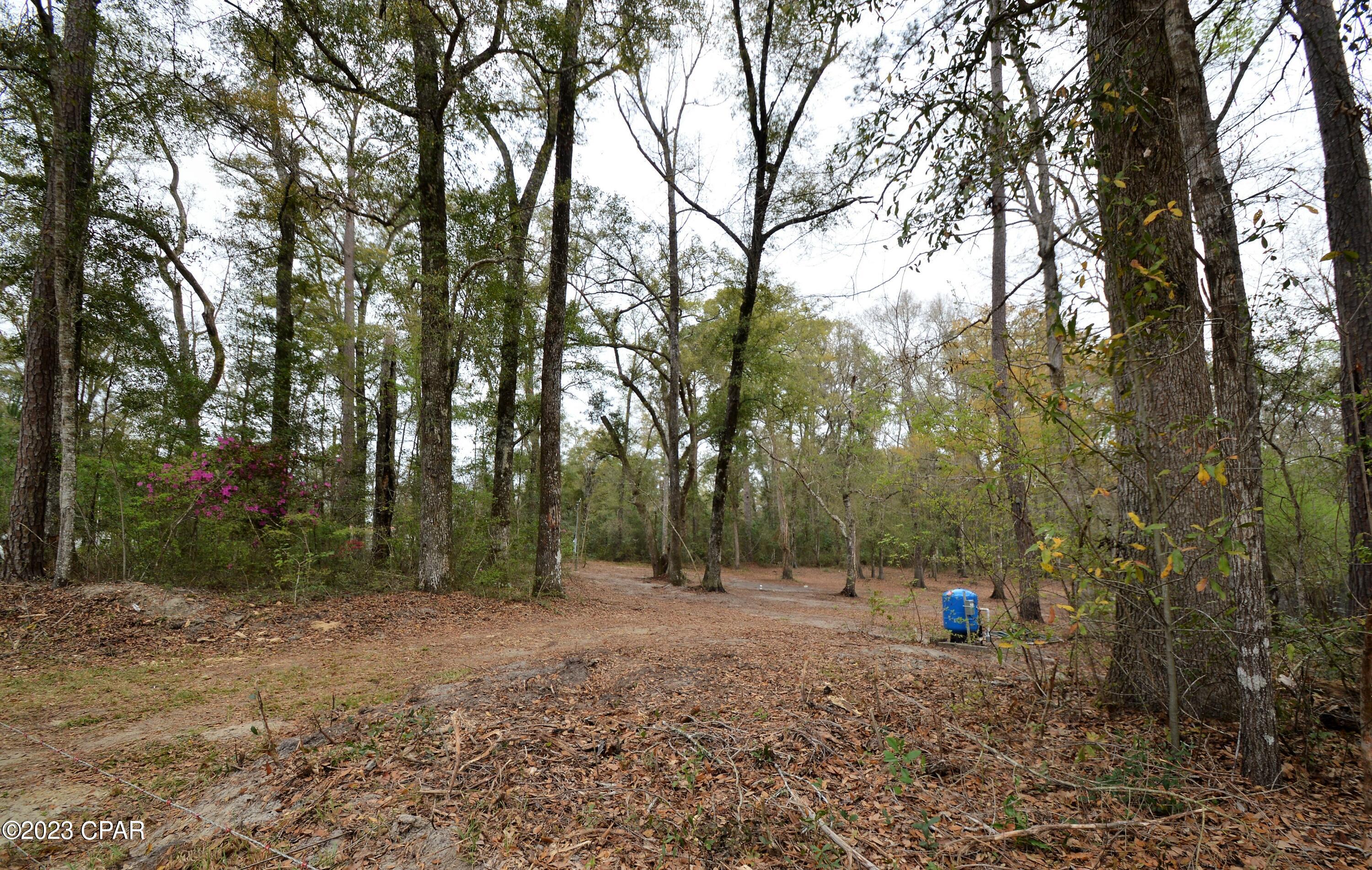 2348 Old Mill Road Bonifay, FL 32425 - Photo 7 of 8 Gallery Image 7
