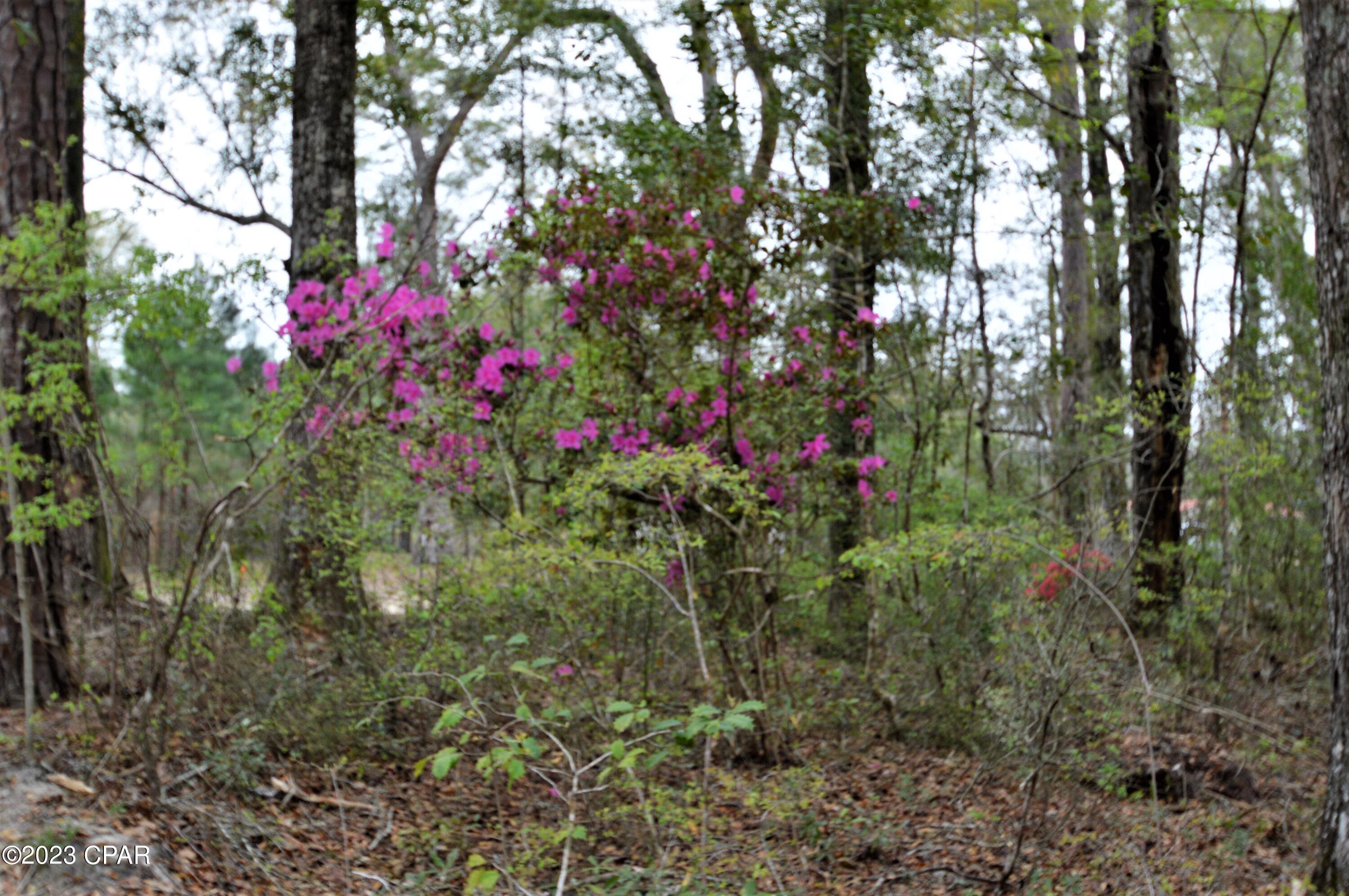 2348 Old Mill Road Bonifay, FL 32425 - Photo 8 of 8 Gallery Image 8