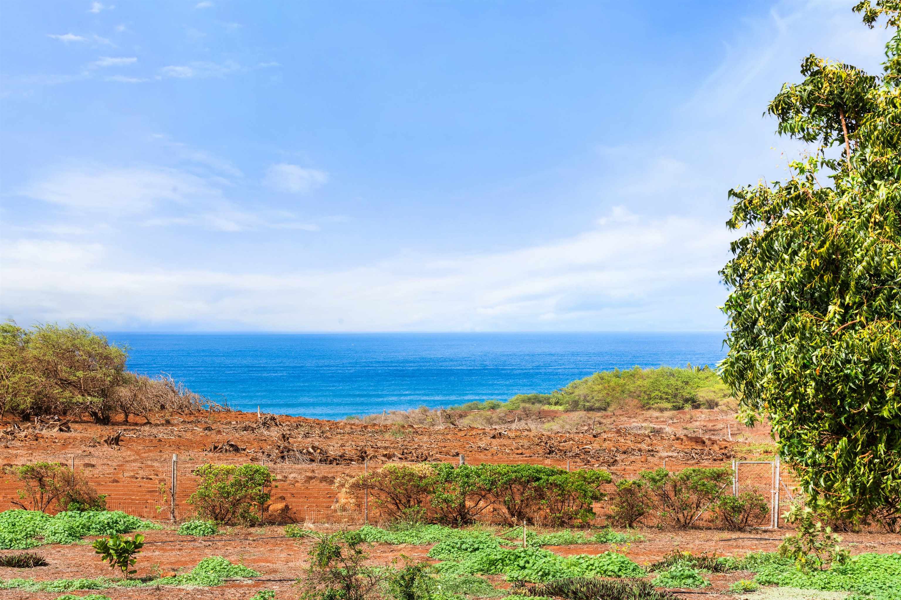 3820 Kalua Koi Road Maunaloa, HI 96770 - Photo 44 of 46