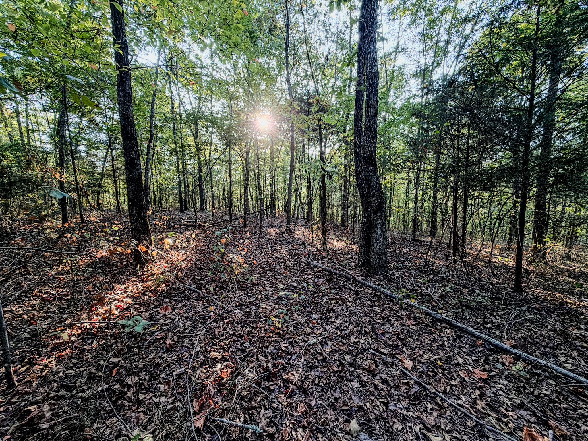 360 Long Branch Road Lawrenceburg, TN 38464 - Photo 45 of 52 Gallery Image 45