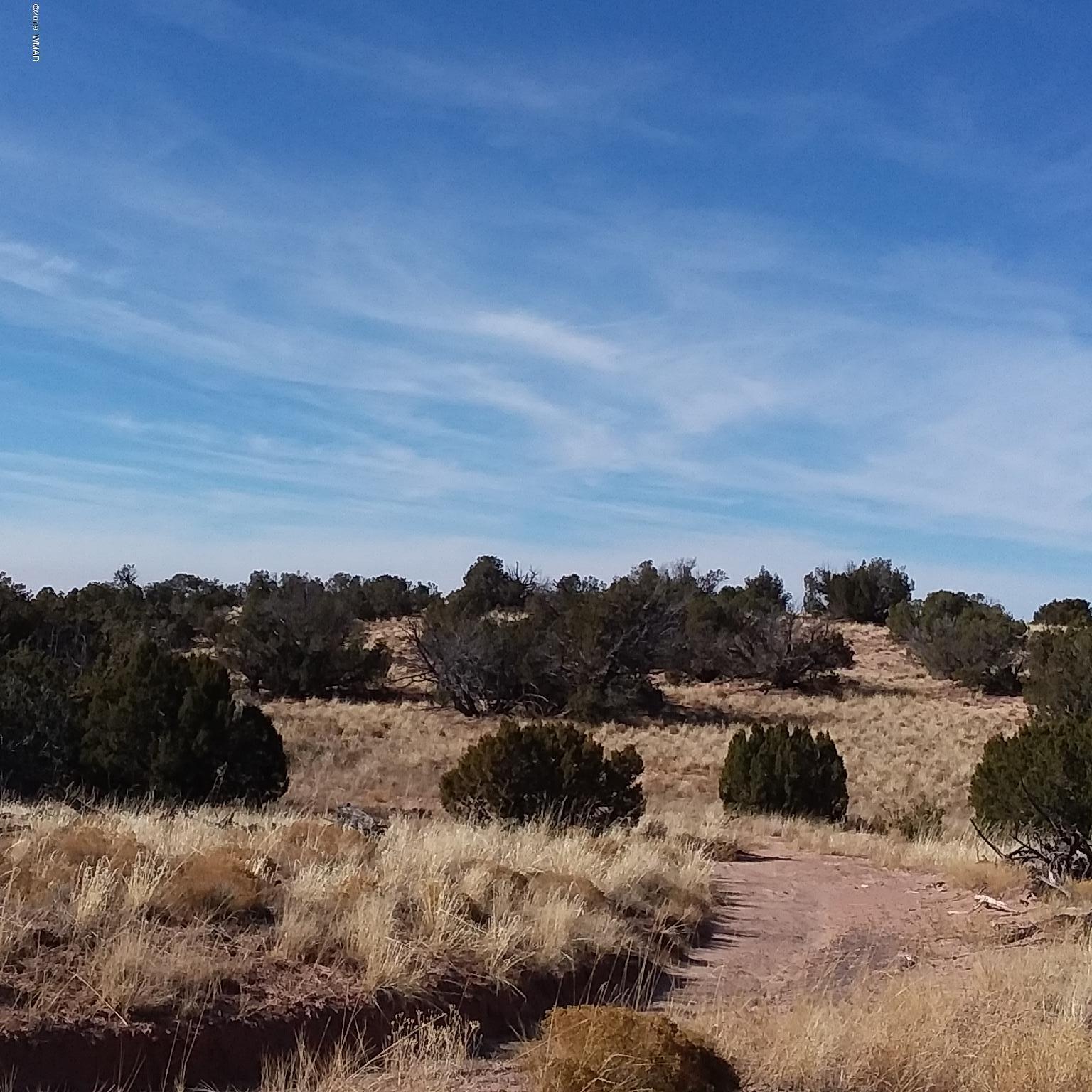 7230 Parcel 11d T17n R27e Sec 7 St-johns Az 85936 Chambers, AZ 86502 - Photo 1 of 8