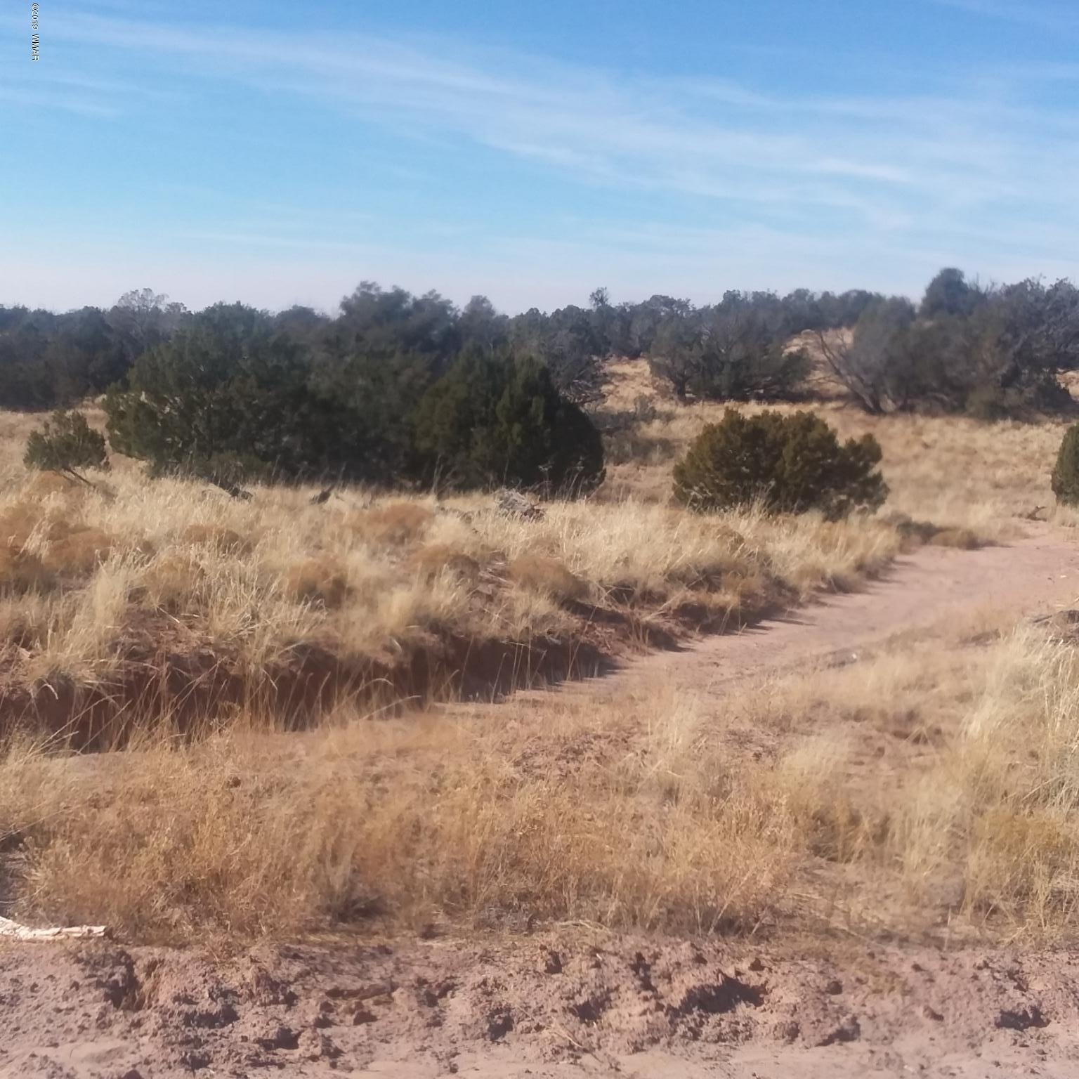 7230 Parcel 11d T17n R27e Sec 7 St-johns Az 85936 Chambers, AZ 86502 - Photo 2 of 8