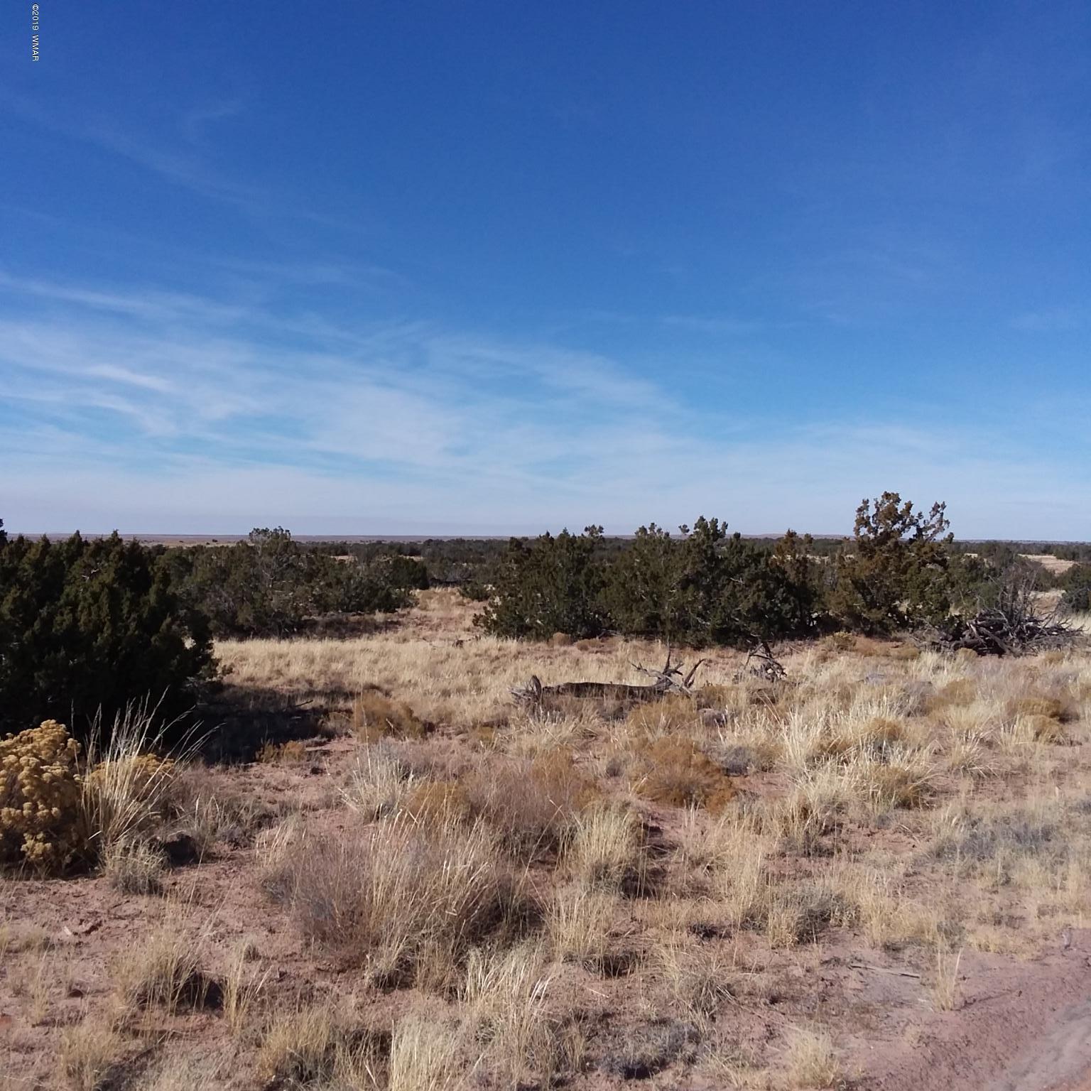7230 Parcel 11d T17n R27e Sec 7 St-johns Az 85936 Chambers, AZ 86502 - Photo 4 of 8