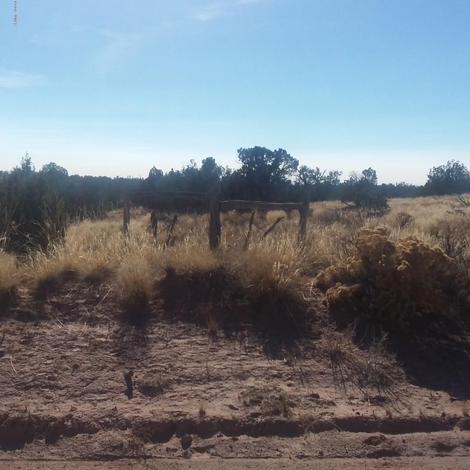 7230 Parcel 11d T17n R27e Sec 7 St-johns Az 85936 Chambers, AZ 86502 - Photo 5 of 8
