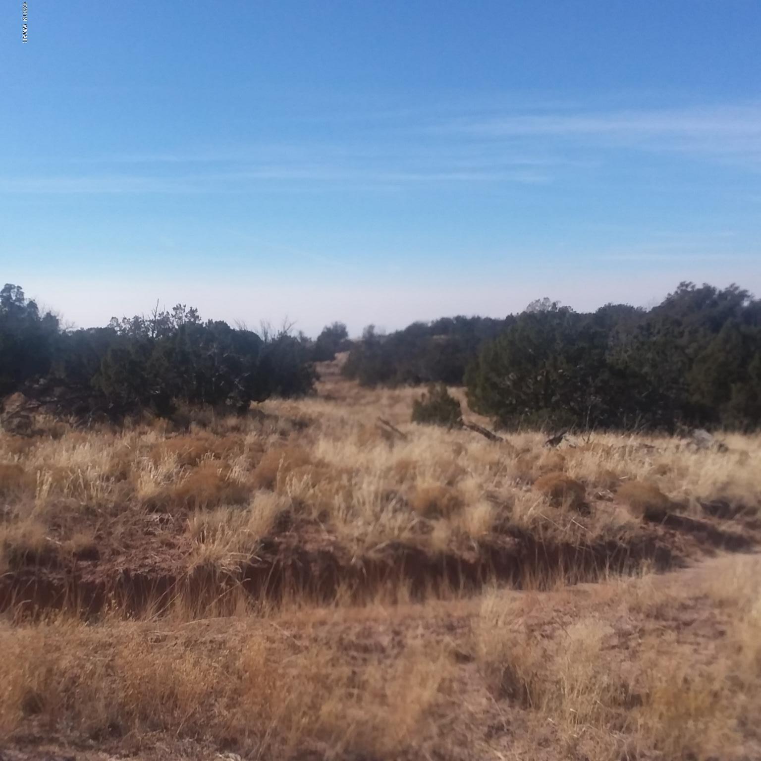 7230 Parcel 11d T17n R27e Sec 7 St-johns Az 85936 Chambers, AZ 86502 - Photo 6 of 8