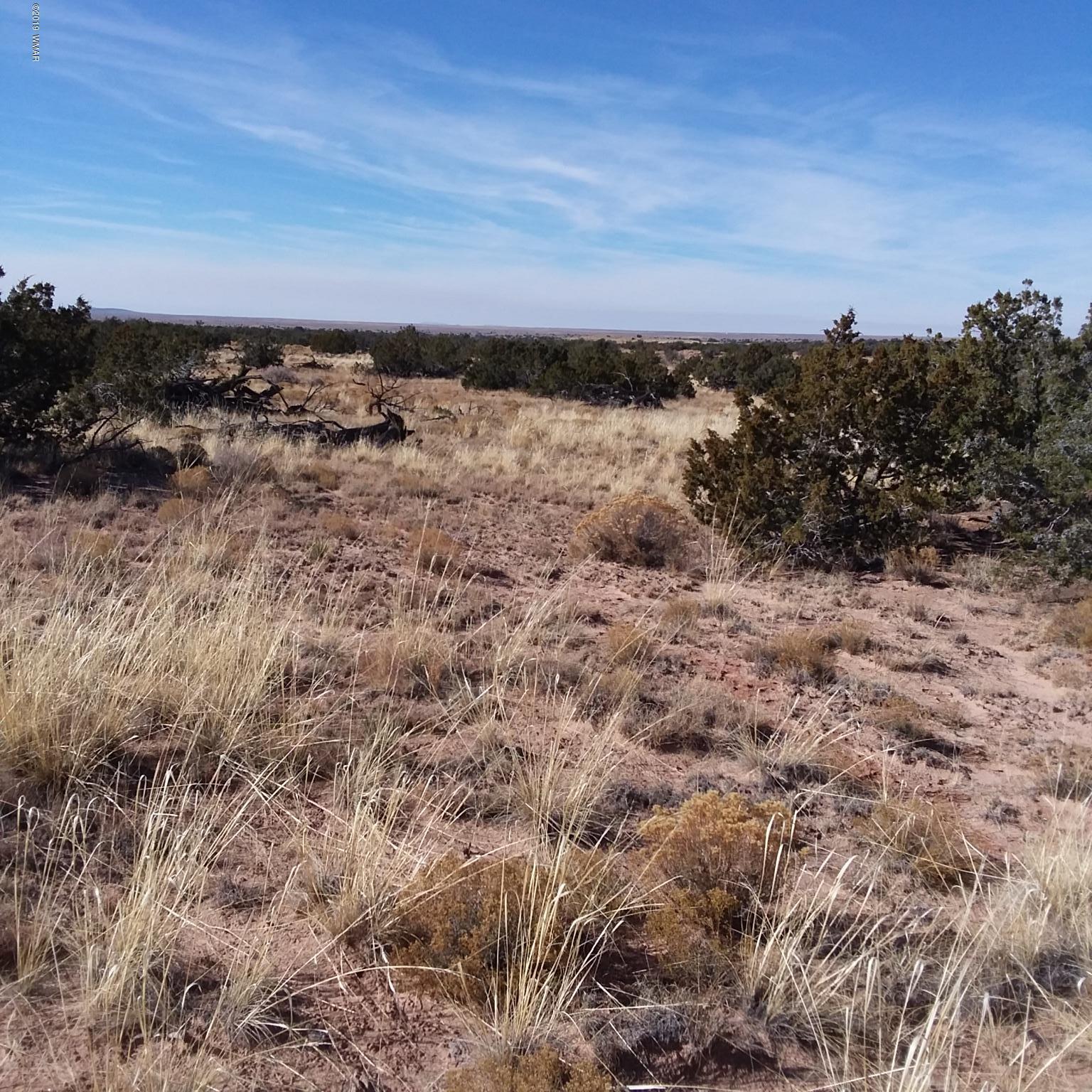 7230 Parcel 11d T17n R27e Sec 7 St-johns Az 85936 Chambers, AZ 86502 - Photo 7 of 8