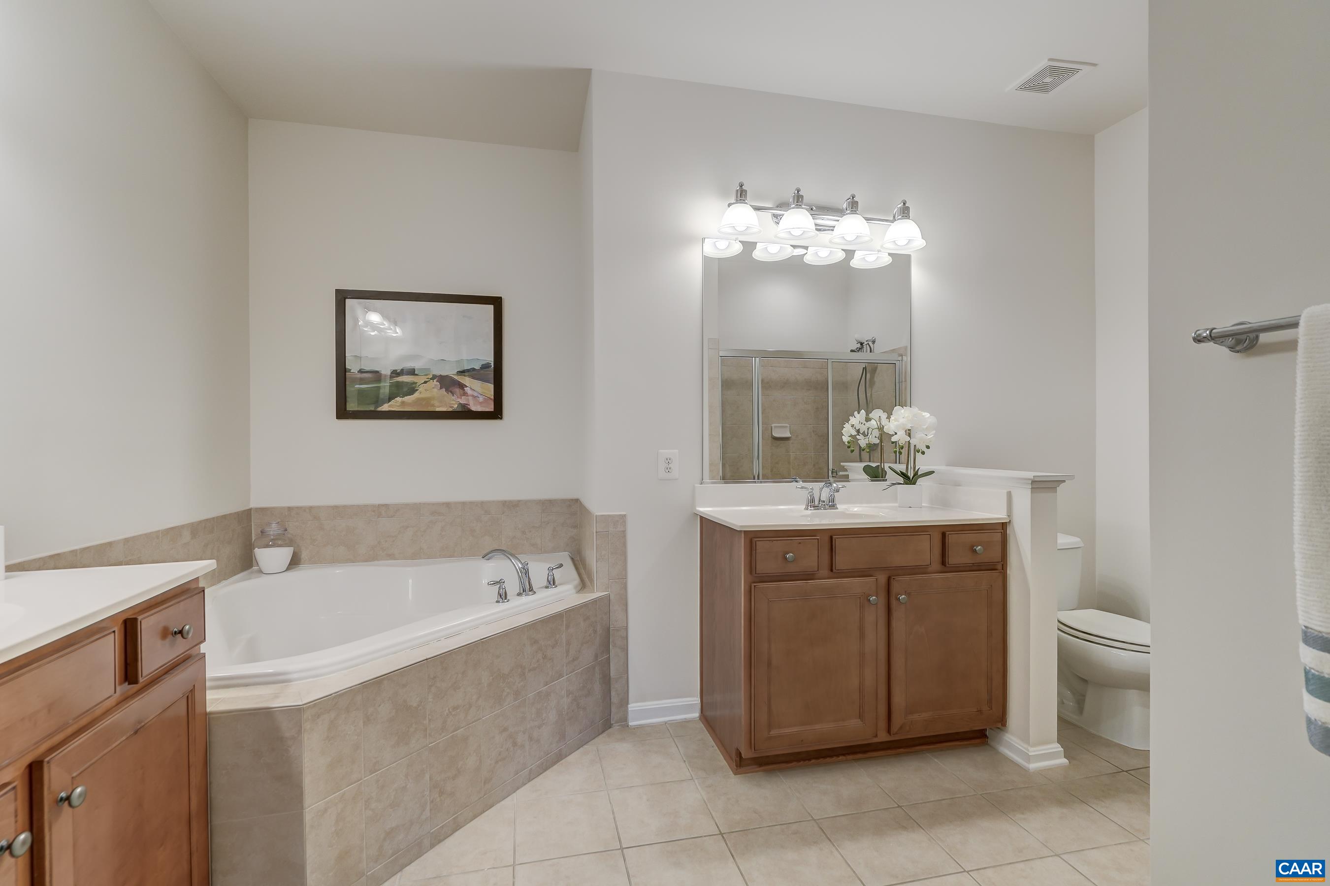 65 Prestwood Drive Ruckersville, VA 22968 - Photo 32 of 61 a bathroom with a double vanity sink mirror and bathtub