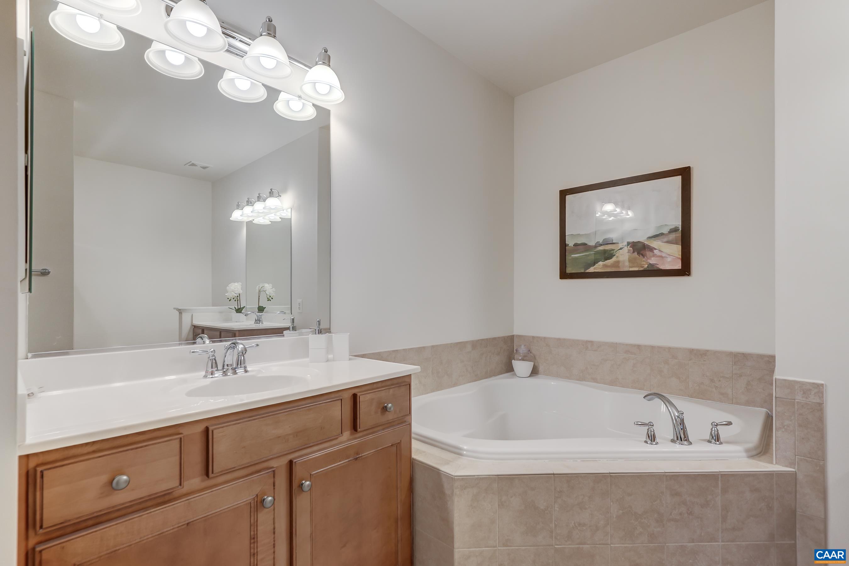 65 Prestwood Drive Ruckersville, VA 22968 - Photo 33 of 61 a bathroom with a sink a large mirror and a chandelier