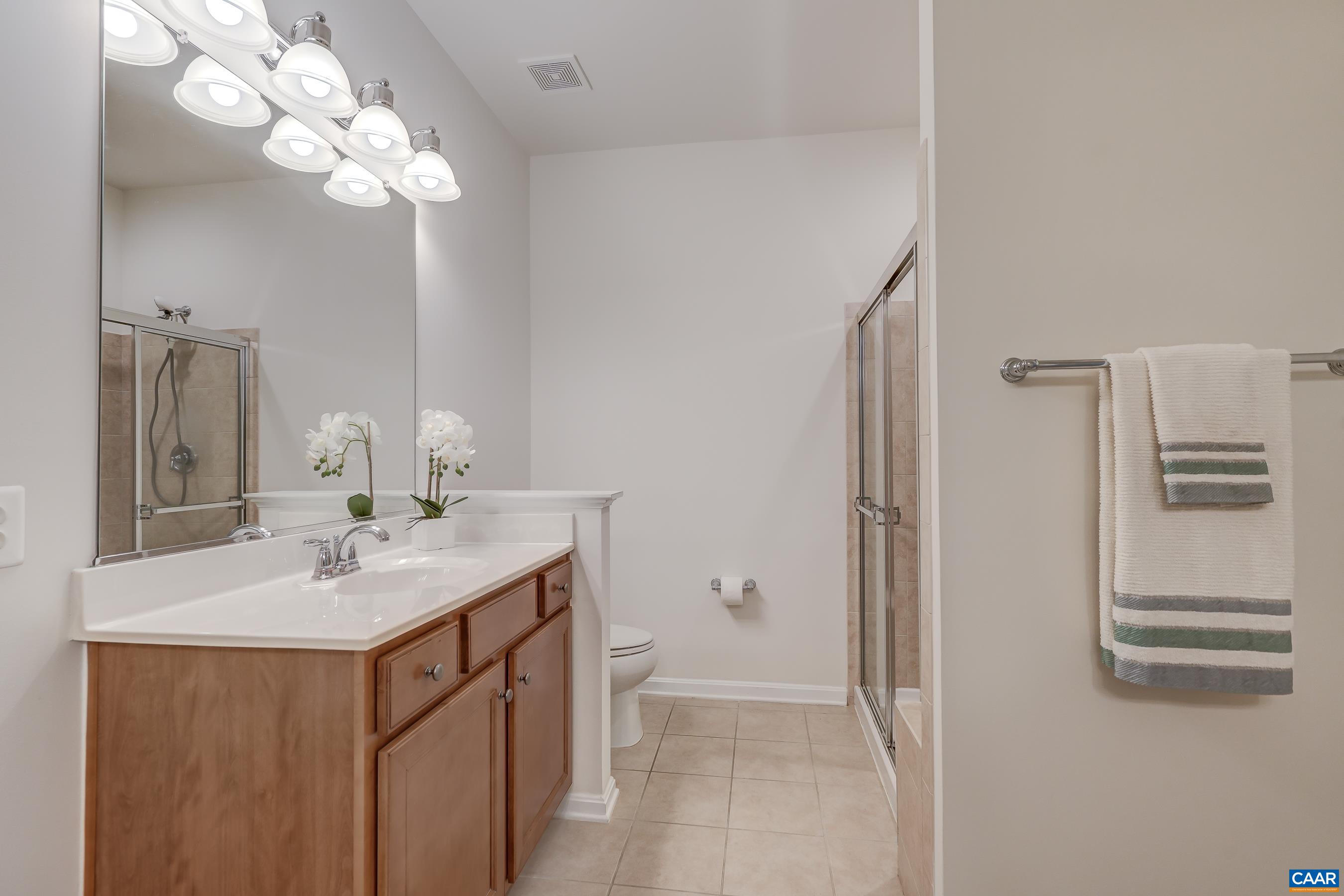 65 Prestwood Drive Ruckersville, VA 22968 - Photo 34 of 61 a bathroom with a sink vanity and a mirror