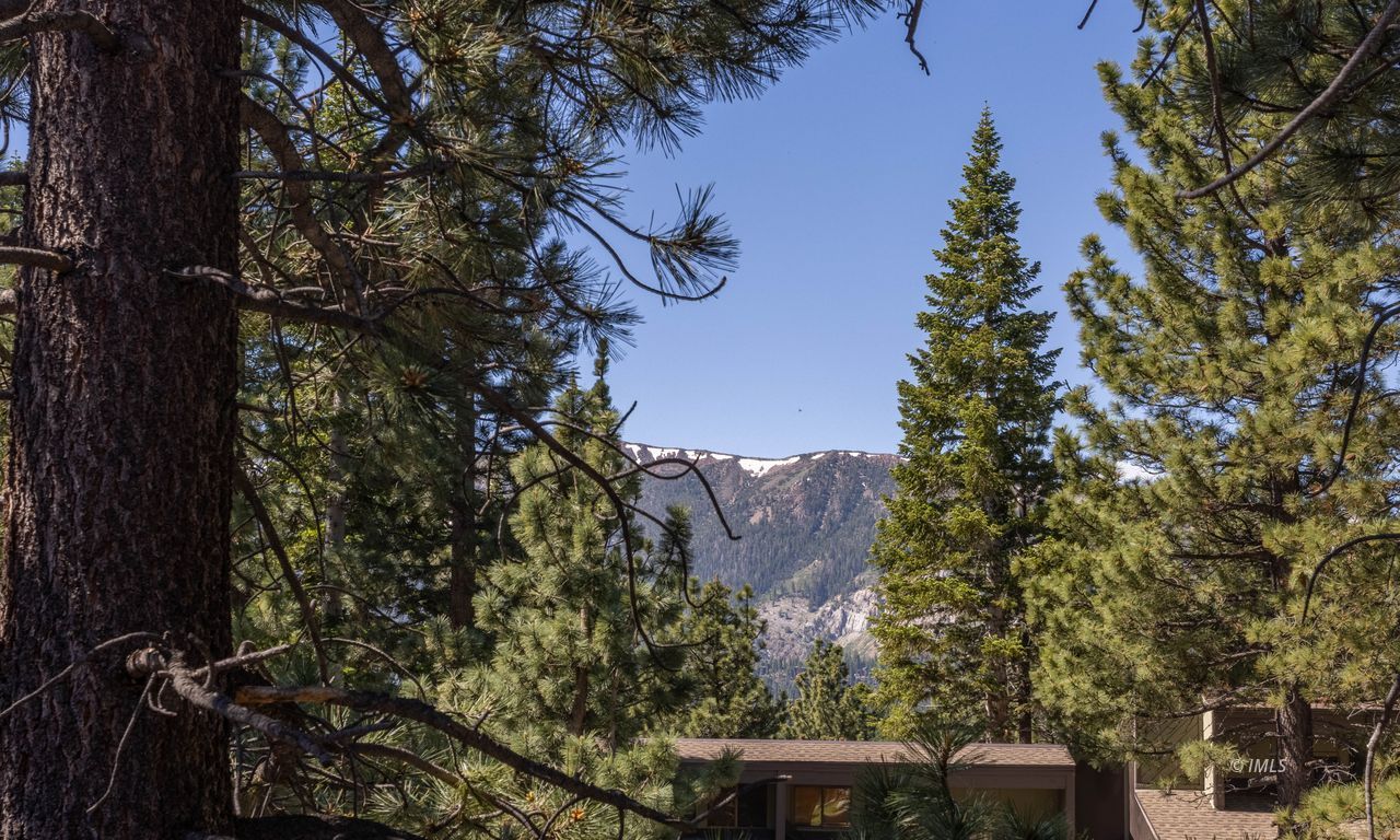 152 Viewpoint Road, Unit 120 Mammoth Lakes, CA 93546 - Photo 2 of 30 Untitled