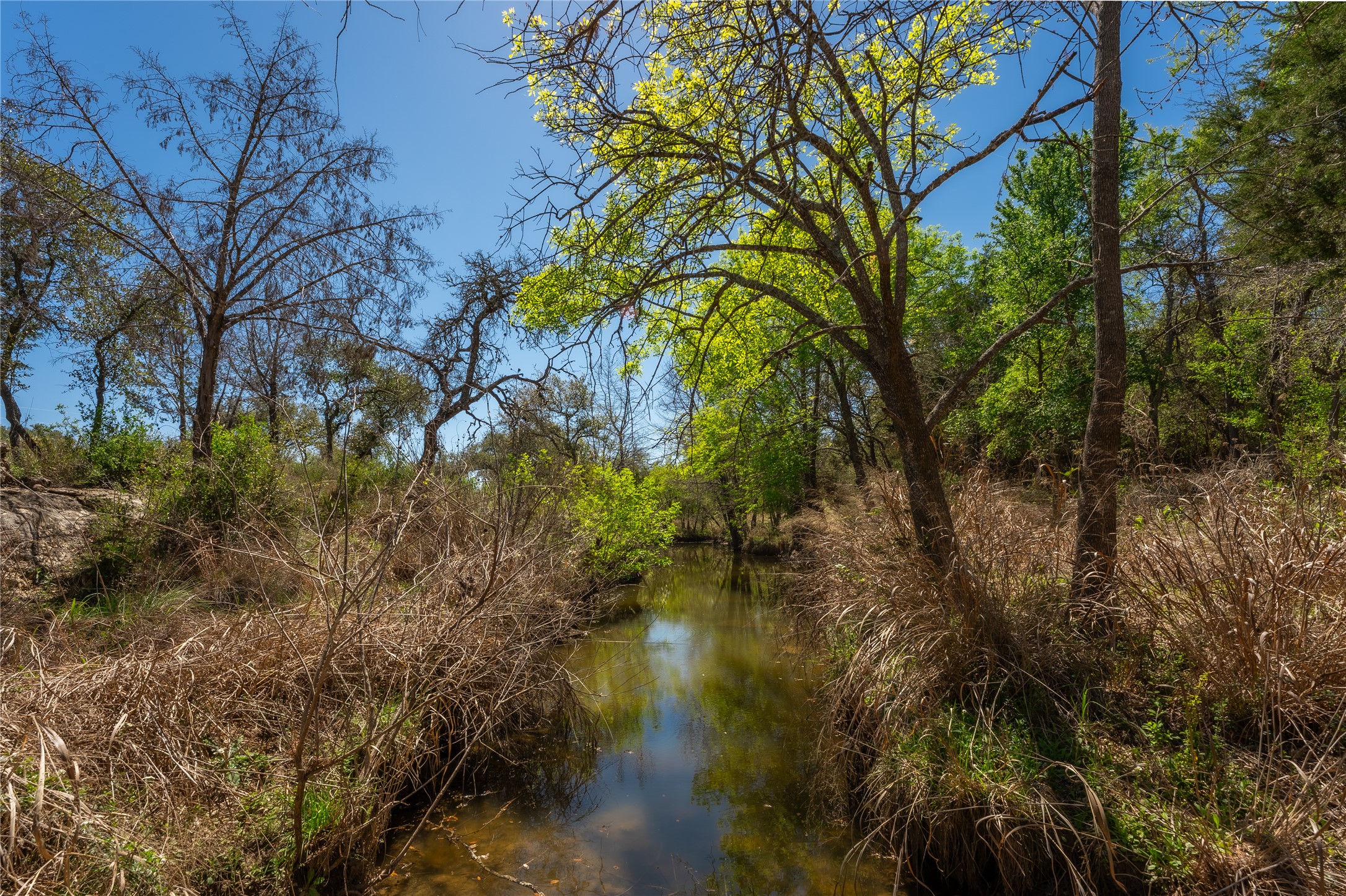 205 Sandy Oaks Ranch Road Johnson City, TX 78636 - Photo 8 of 10 Water view