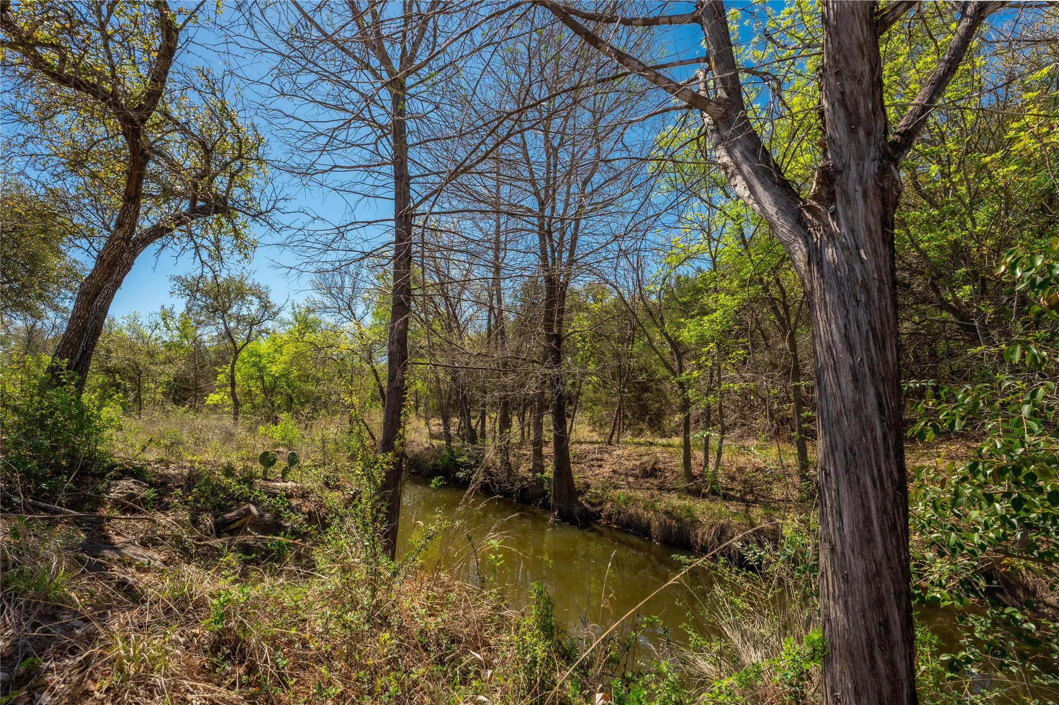 205 Sandy Oaks Ranch Road Johnson City, TX 78636 - Photo 9 of 10 View of nature with a large body of water