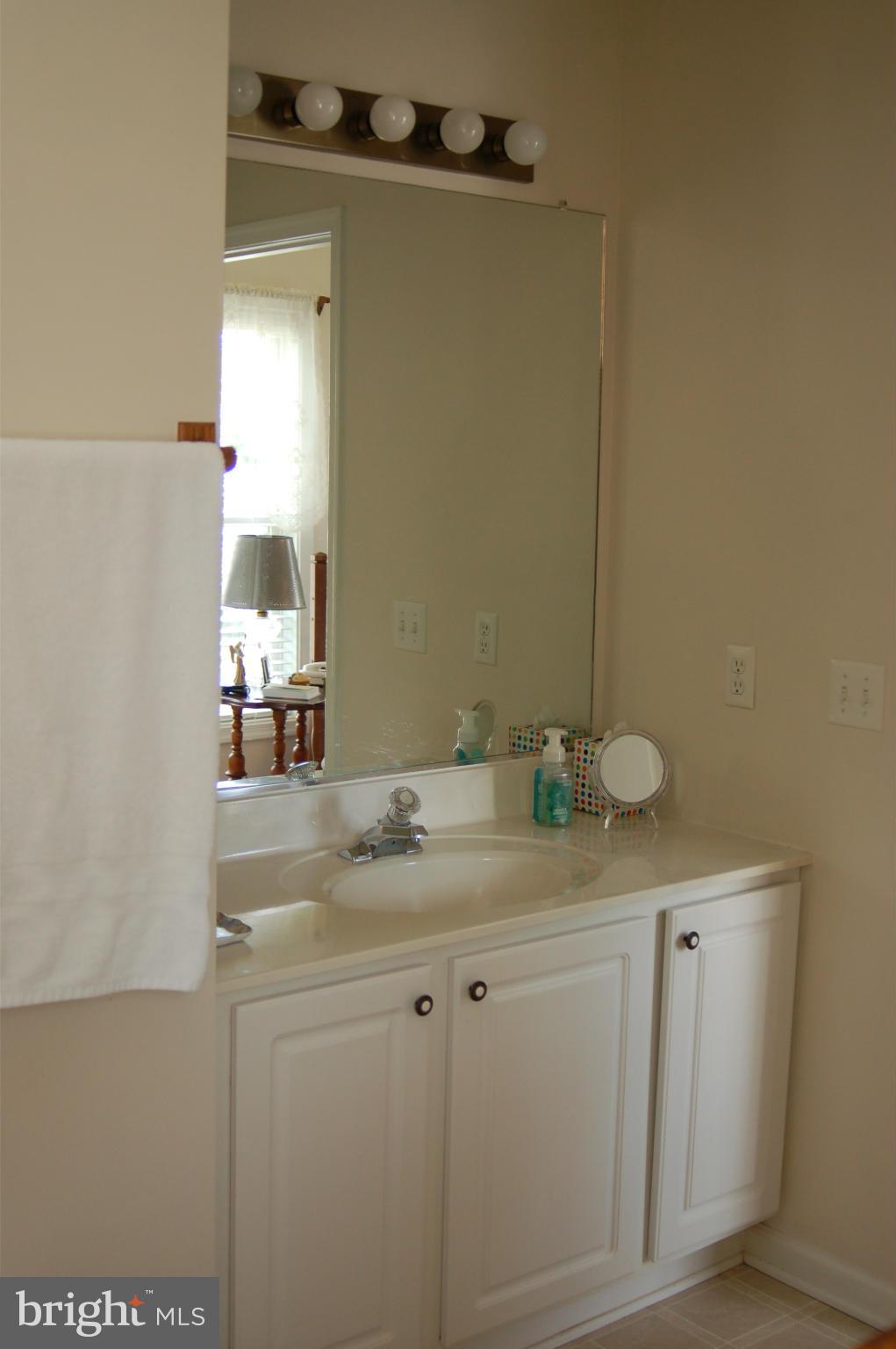 1001 Ridgemere Lane Culpeper, VA 22701 - Photo 13 of 20 Bath (Master)