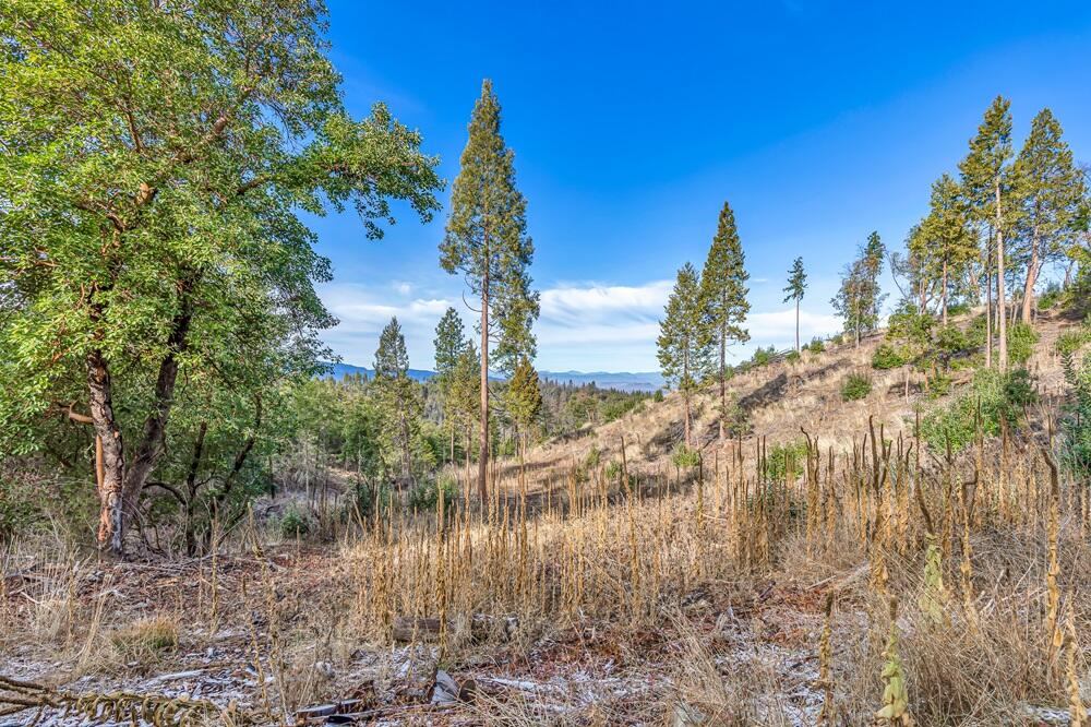 Griffin Creek Road Medford, OR 97501 - Photo 5 of 18 9R9A4151