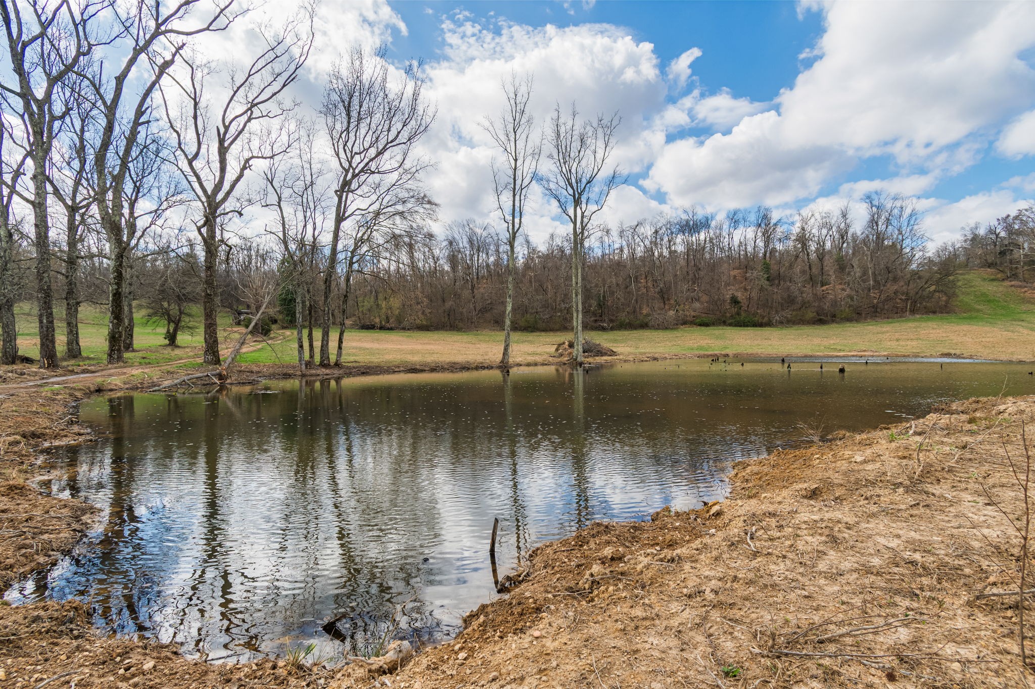 3301 Natural Bridge Road Waynesboro, TN 38485 - Photo 23 of 80
