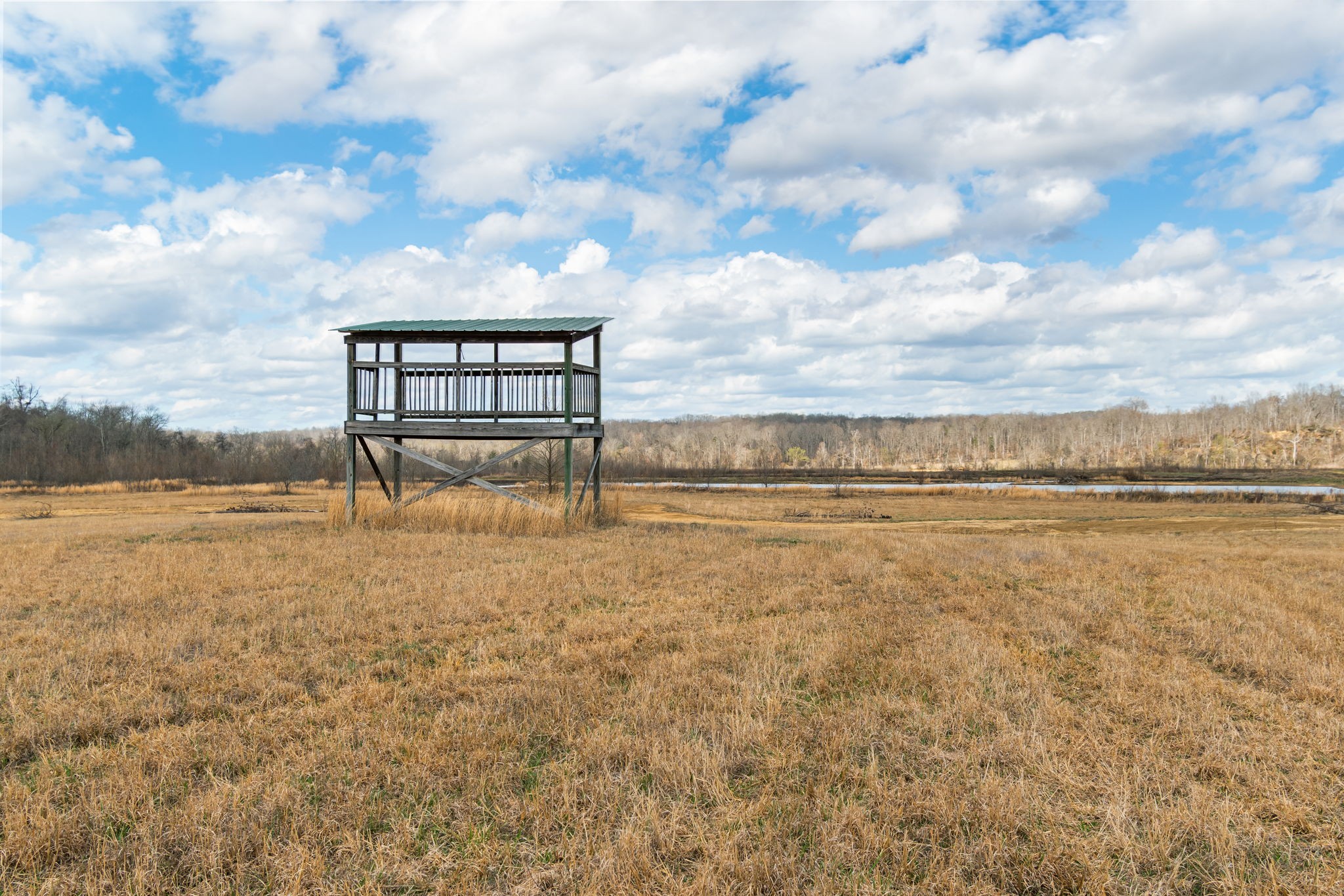 3301 Natural Bridge Road Waynesboro, TN 38485 - Photo 28 of 80