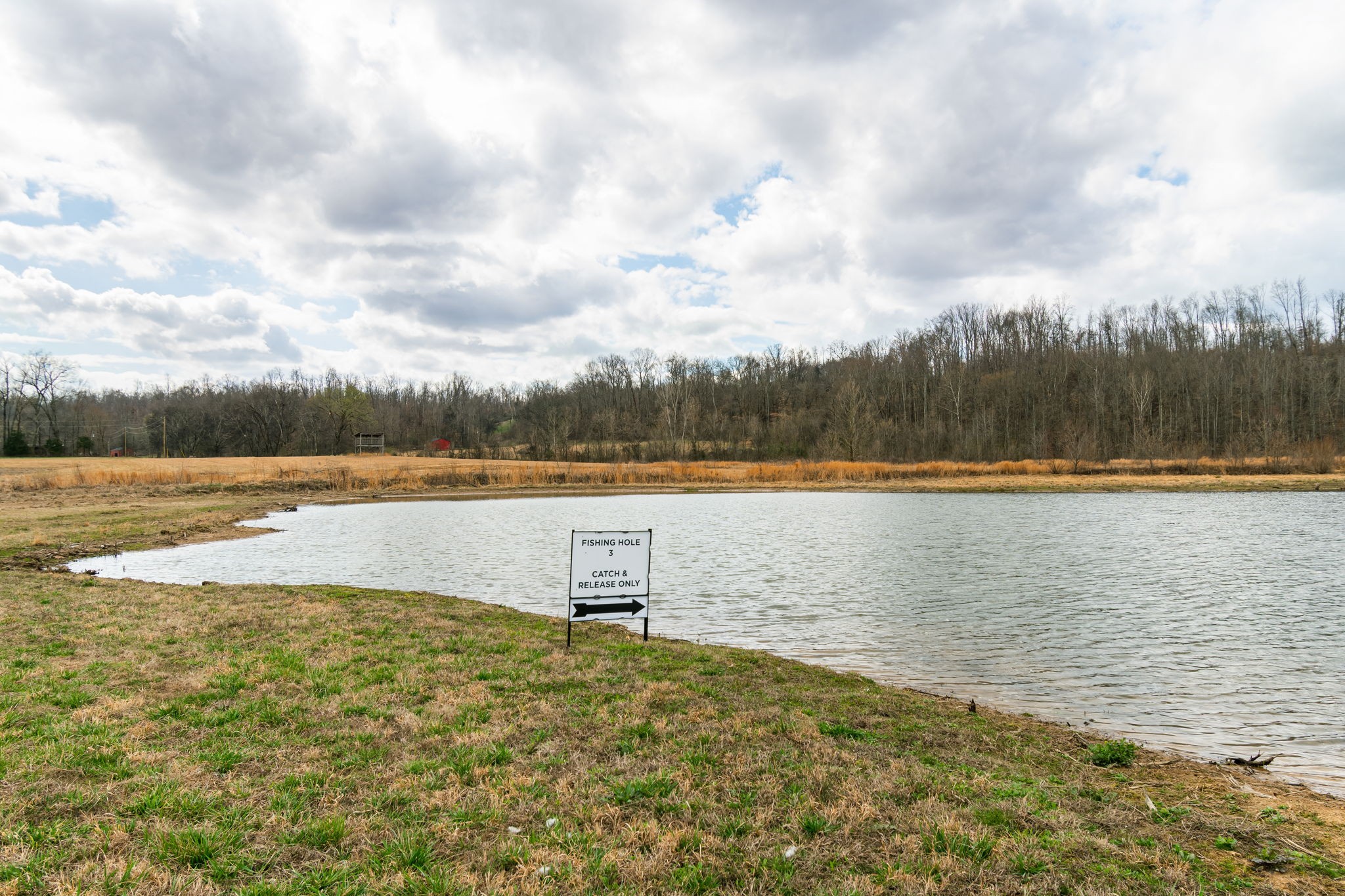 3301 Natural Bridge Road Waynesboro, TN 38485 - Photo 34 of 80