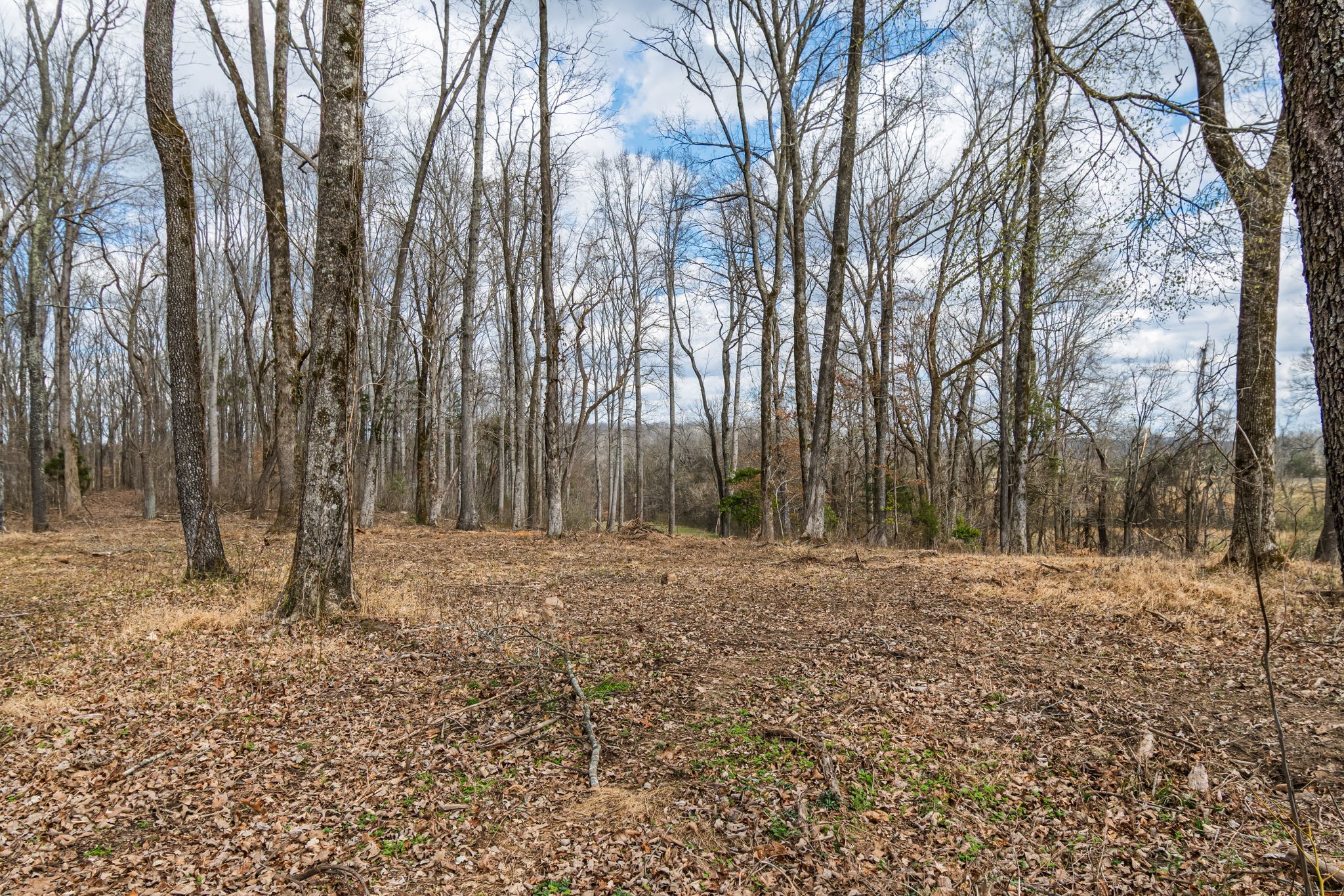 3301 Natural Bridge Road Waynesboro, TN 38485 - Photo 35 of 80