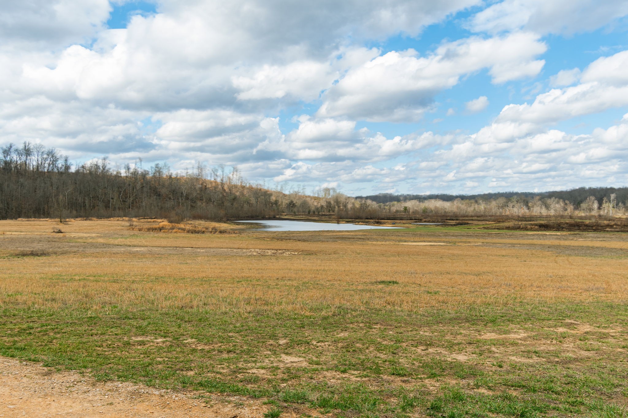 3301 Natural Bridge Road Waynesboro, TN 38485 - Photo 38 of 80