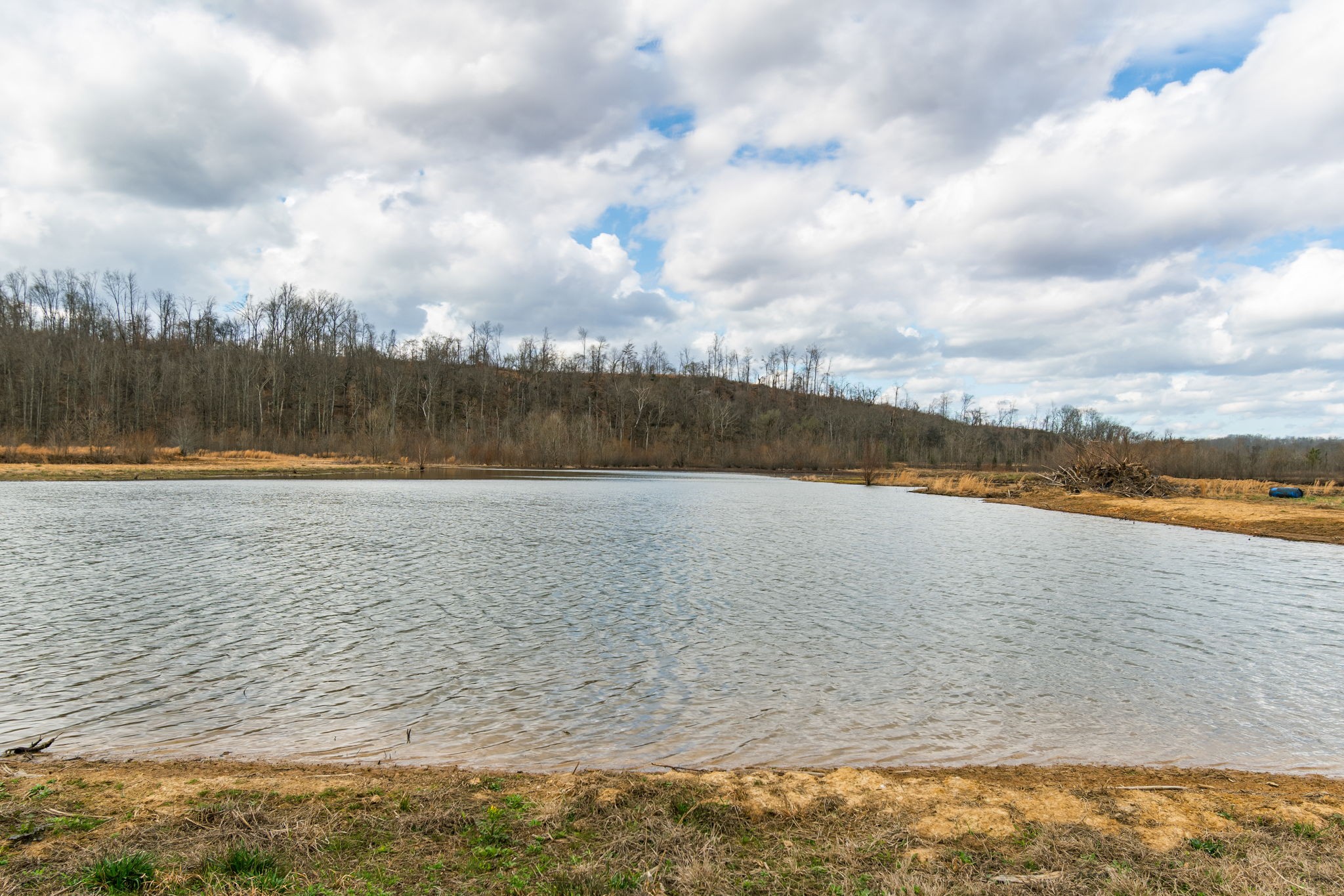 3301 Natural Bridge Road Waynesboro, TN 38485 - Photo 41 of 80