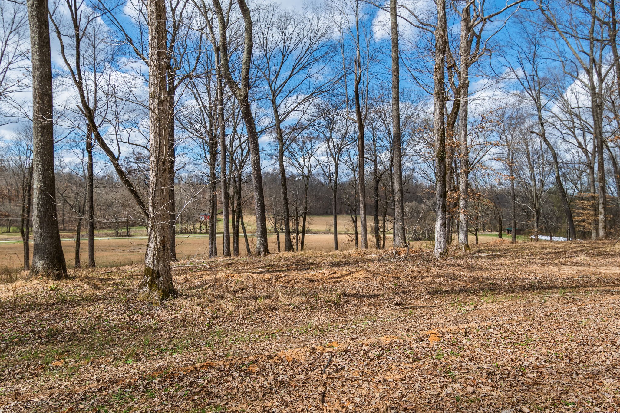 3301 Natural Bridge Road Waynesboro, TN 38485 - Photo 43 of 80