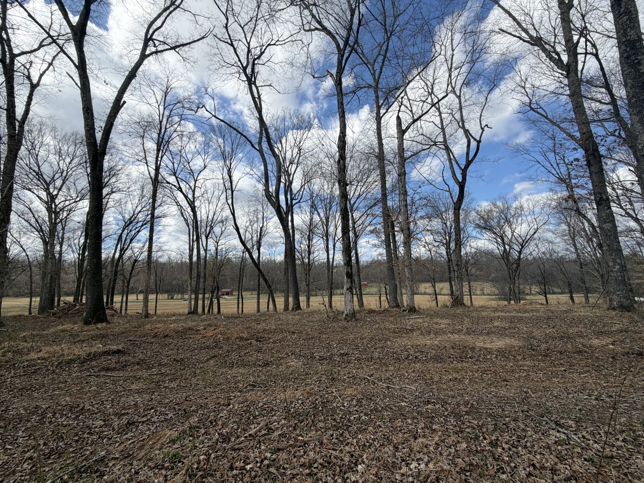 3301 Natural Bridge Road Waynesboro, TN 38485 - Photo 69 of 80