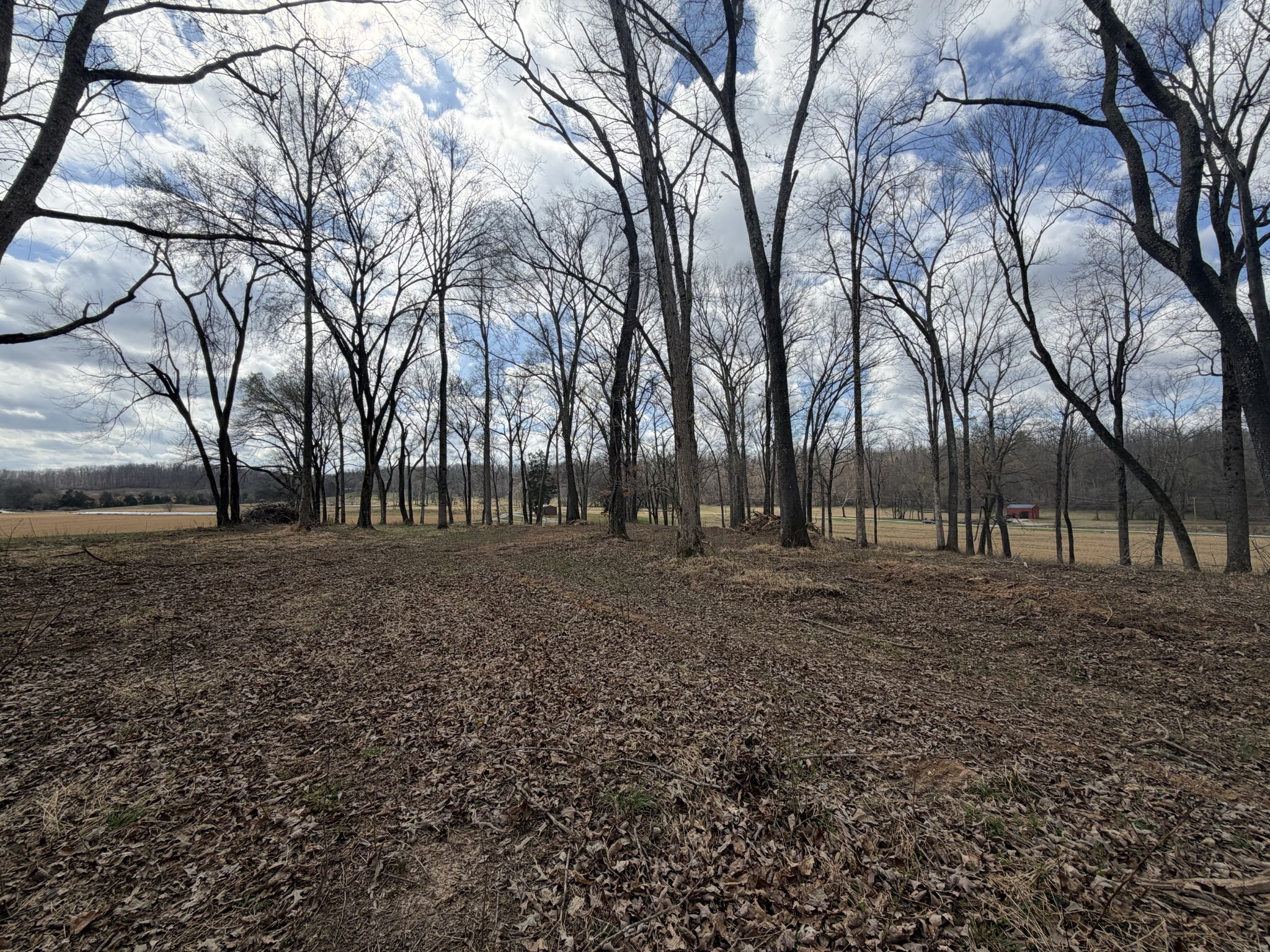 3301 Natural Bridge Road Waynesboro, TN 38485 - Photo 70 of 80