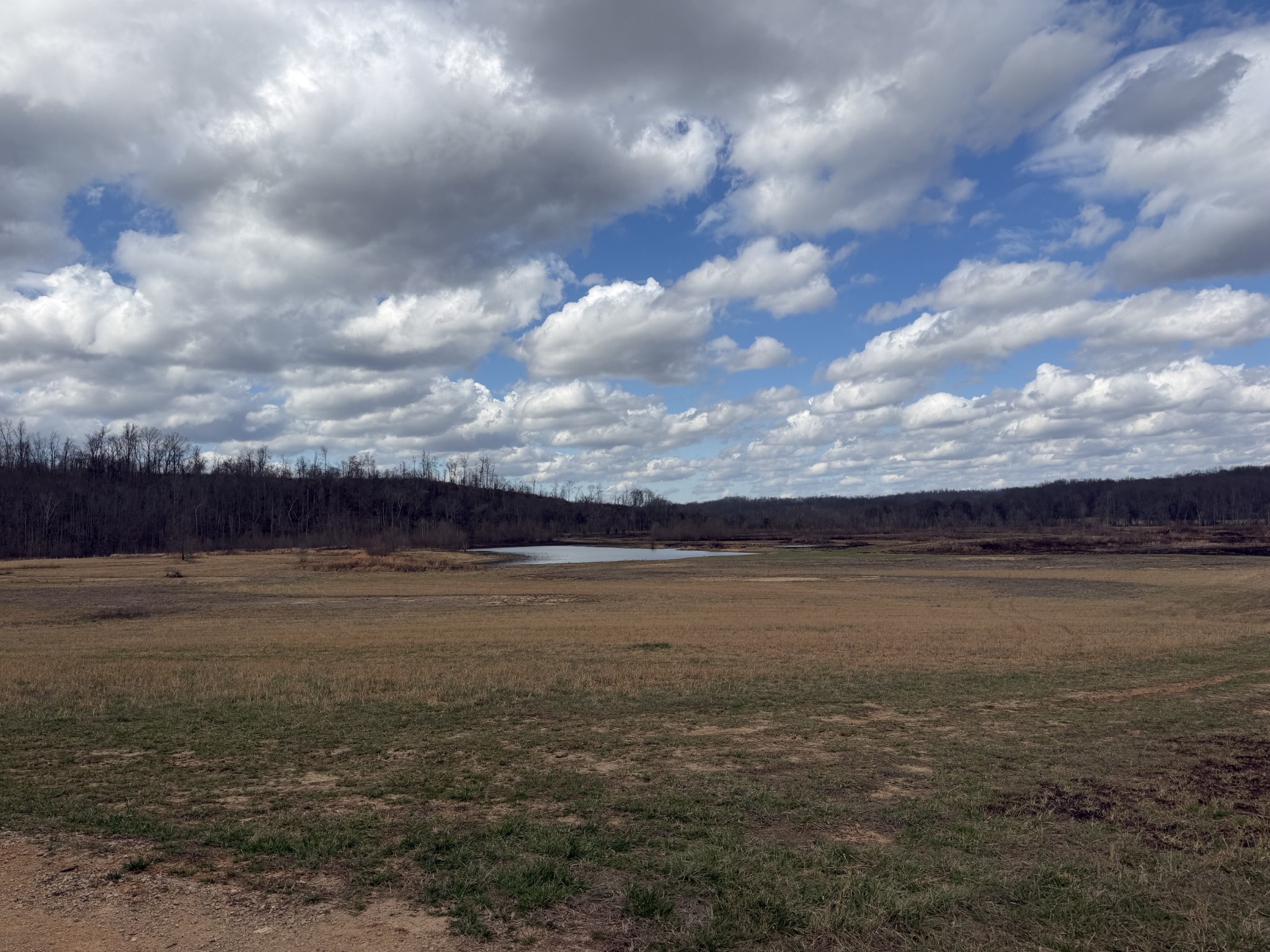 3301 Natural Bridge Road Waynesboro, TN 38485 - Photo 71 of 80