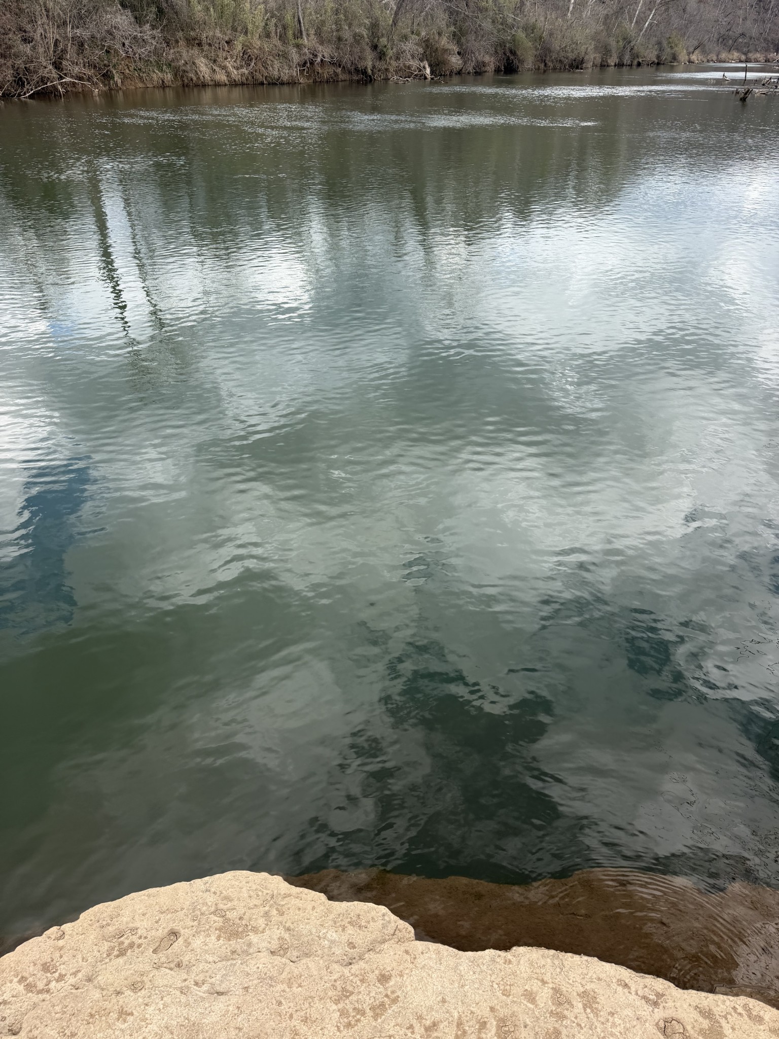 3301 Natural Bridge Road Waynesboro, TN 38485 - Photo 74 of 80