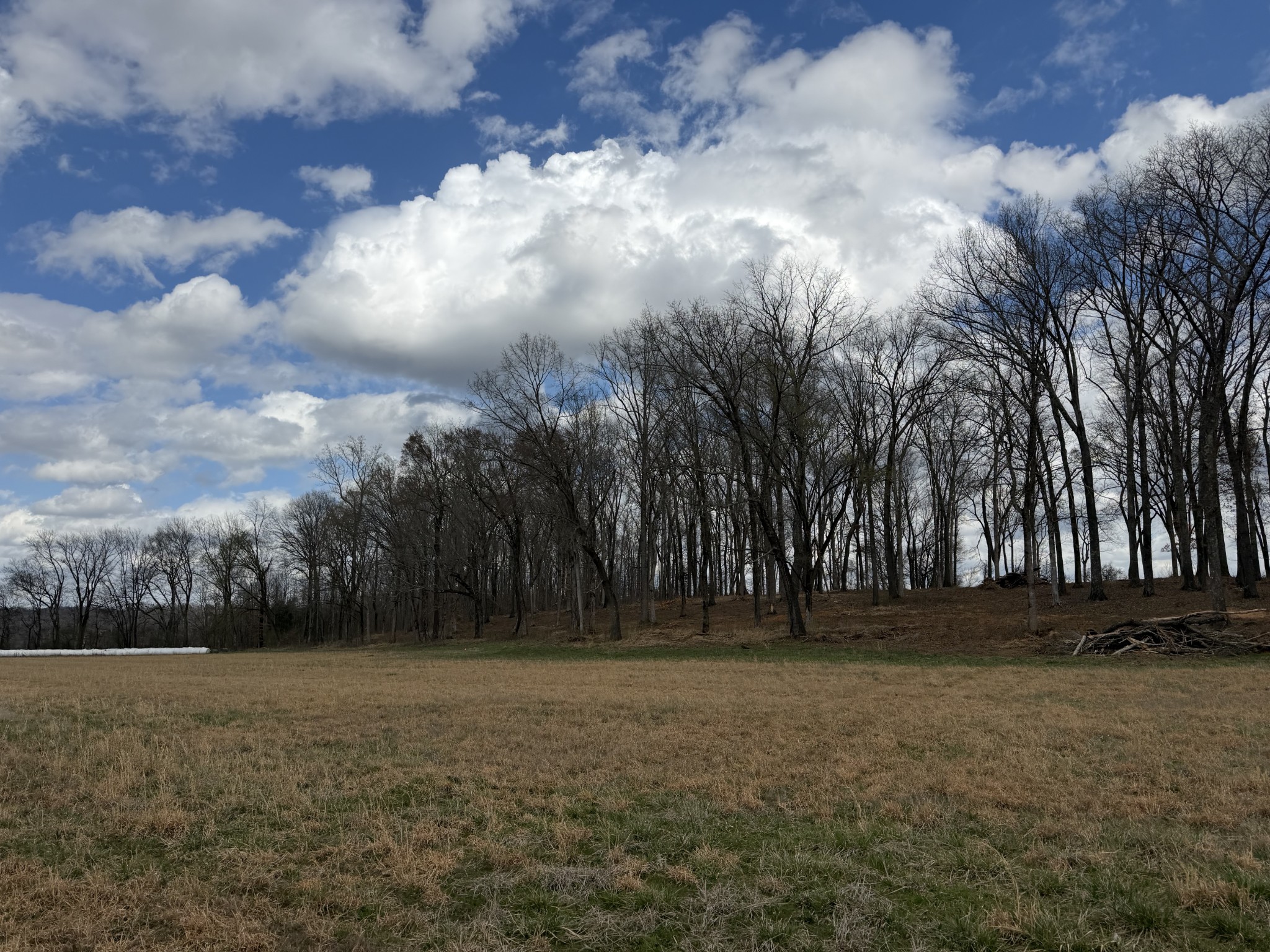 3301 Natural Bridge Road Waynesboro, TN 38485 - Photo 75 of 80