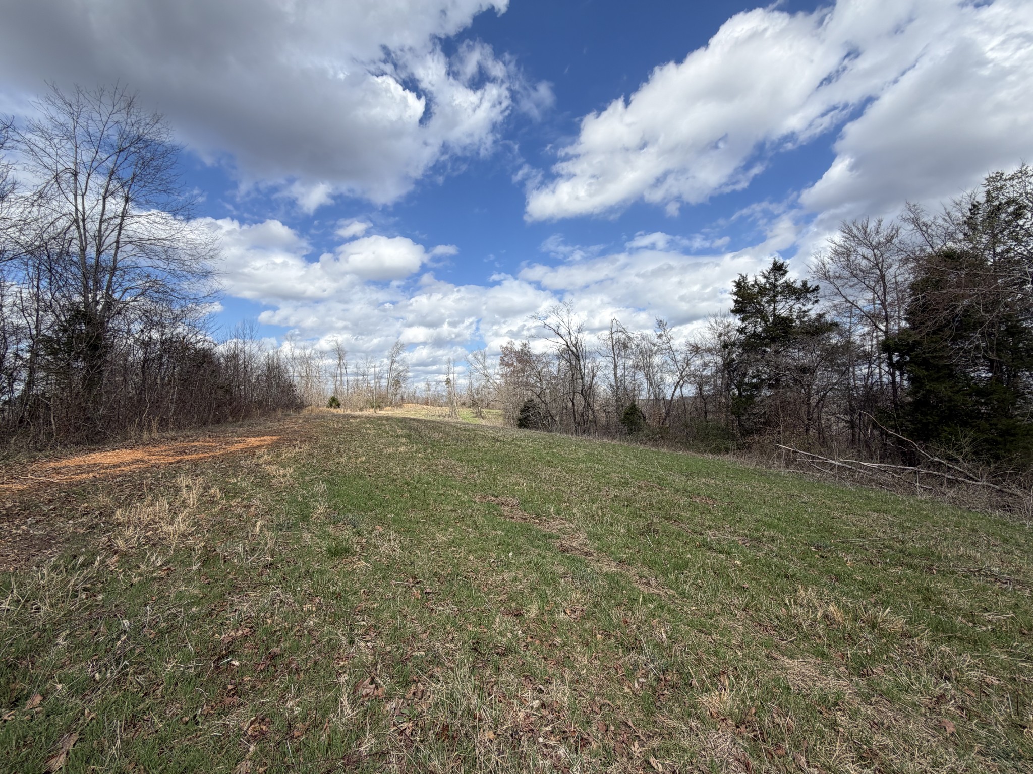 3301 Natural Bridge Road Waynesboro, TN 38485 - Photo 79 of 80