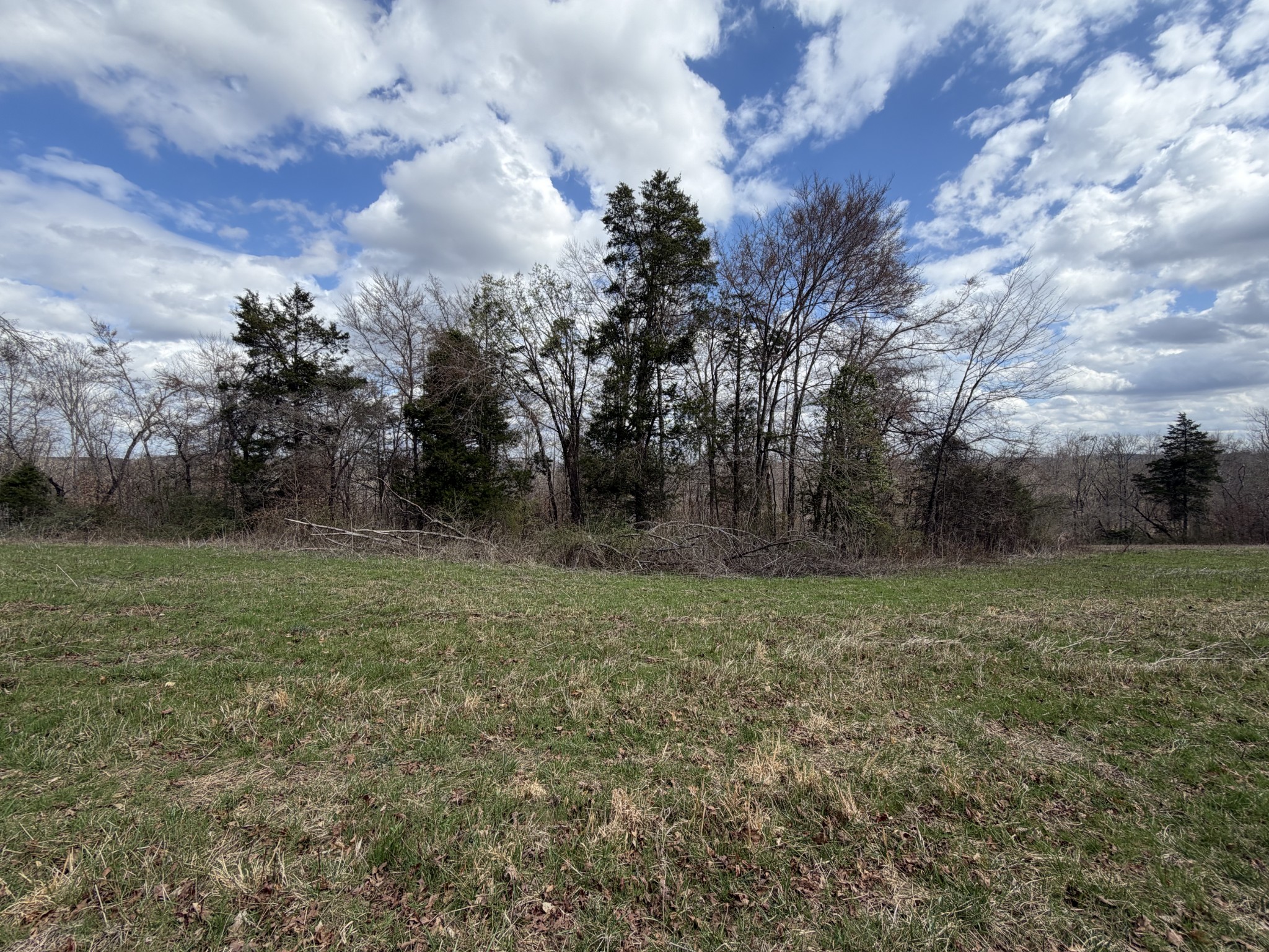 3301 Natural Bridge Road Waynesboro, TN 38485 - Photo 80 of 80