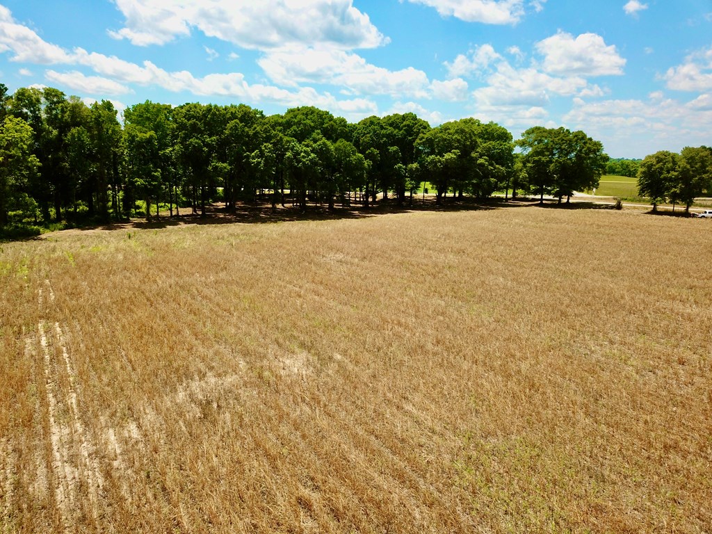 92 County Road 92 Slocomb, AL 36375 - Photo 25 of 58