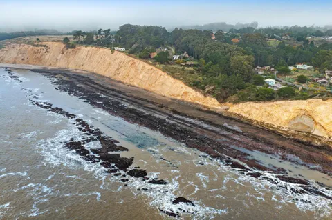a view of a yard with wooden fence