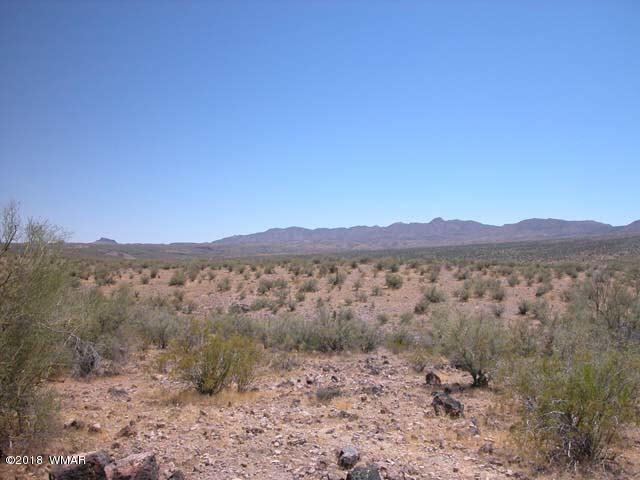 0 Th Chambers, AZ 86502 - Photo 1 of 9 Gallery Image 1