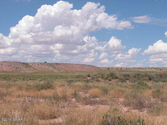 0 Th Chambers, AZ 86502 - Photo 6 of 9 Gallery Image 6