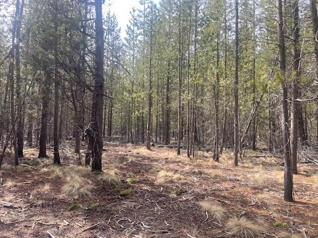 16852 Elsinore Road Bend, OR 97707 - Photo 13 of 29 3