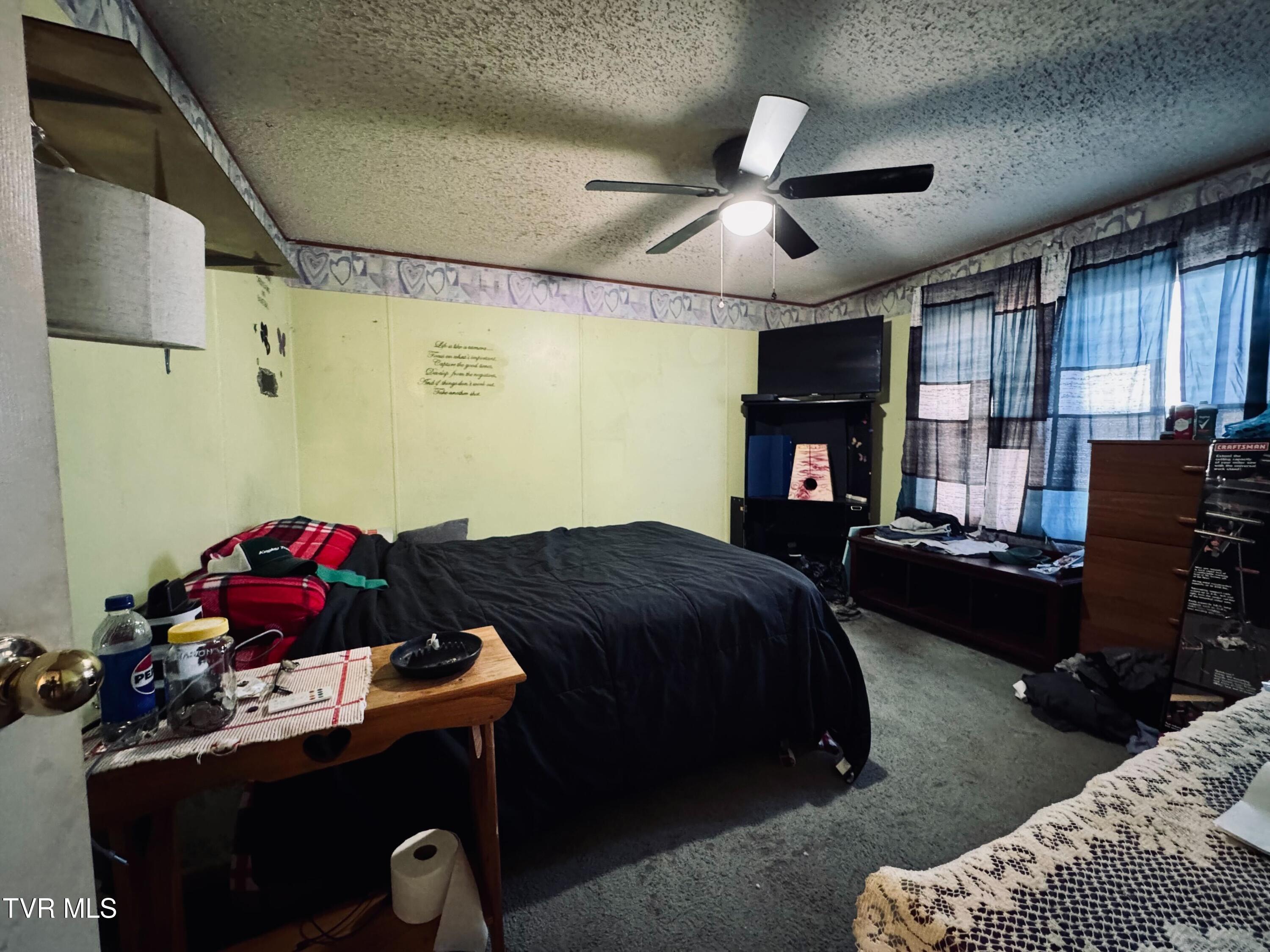 14512 Cedar Creek Road Meadowview, VA 24361 - Photo 20 of 31 IMG_6138