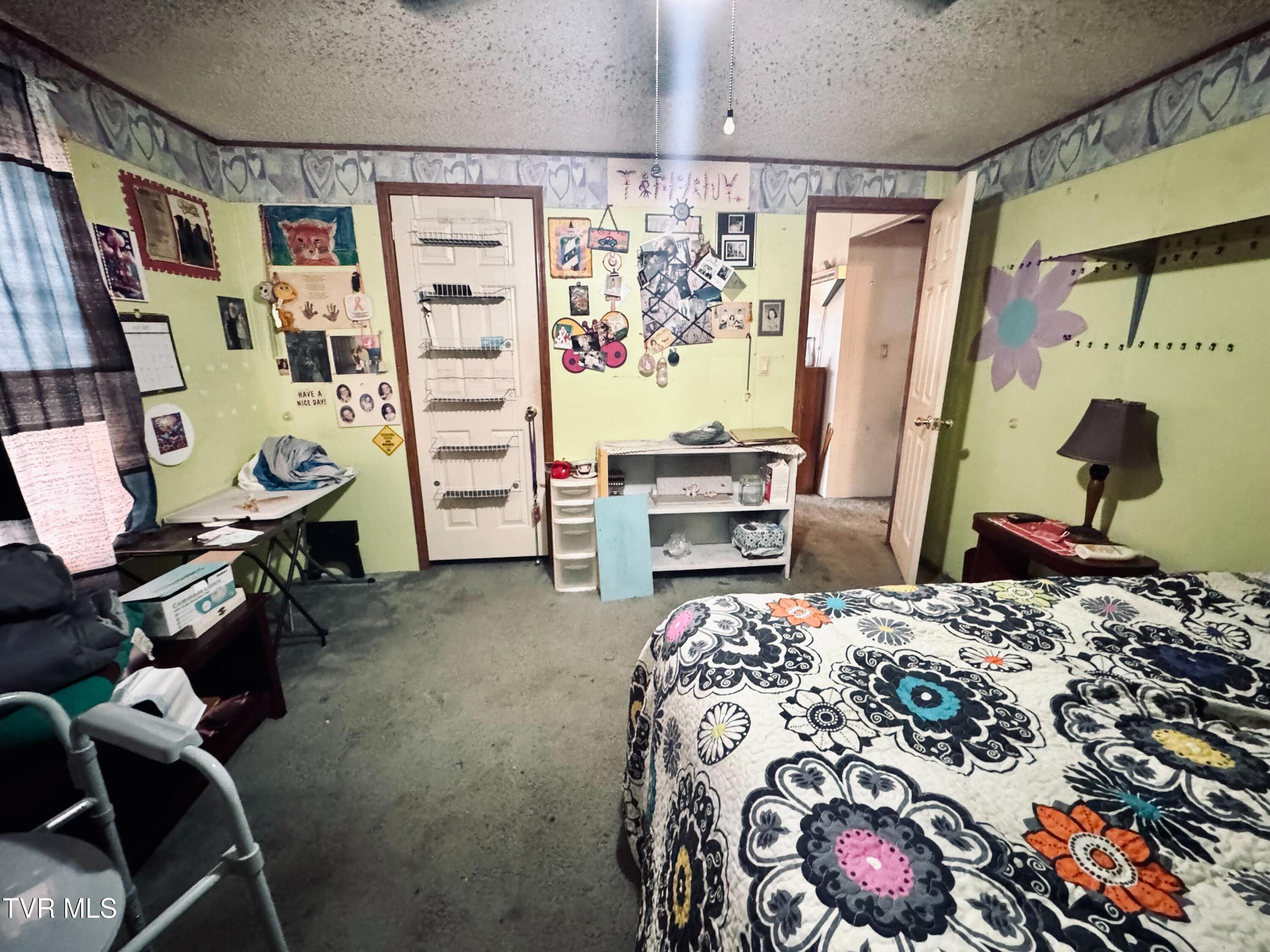 14512 Cedar Creek Road Meadowview, VA 24361 - Photo 21 of 31 IMG_5042