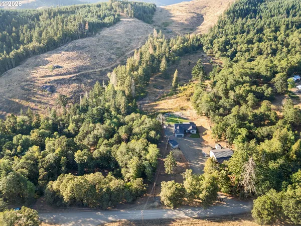 a view of a yard with flower plants