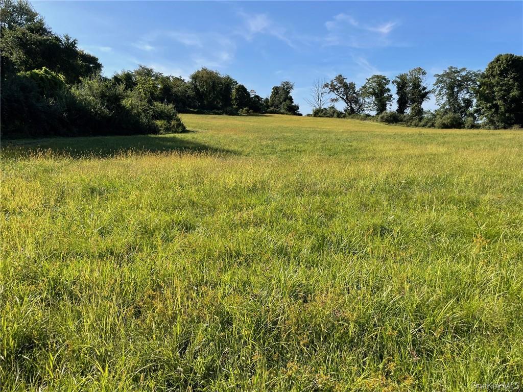 234 Nichols Road Brewster, NY 10509 - Photo 5 of 9 a view of outdoor space and yard