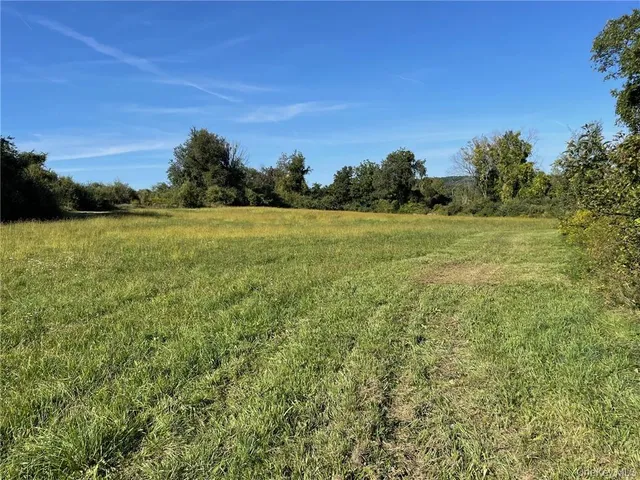 a view of a field with an ocean