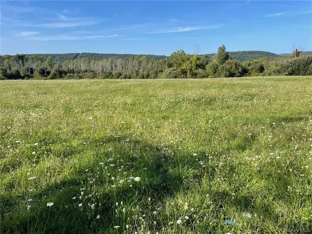 a view of an outdoor space and a yard