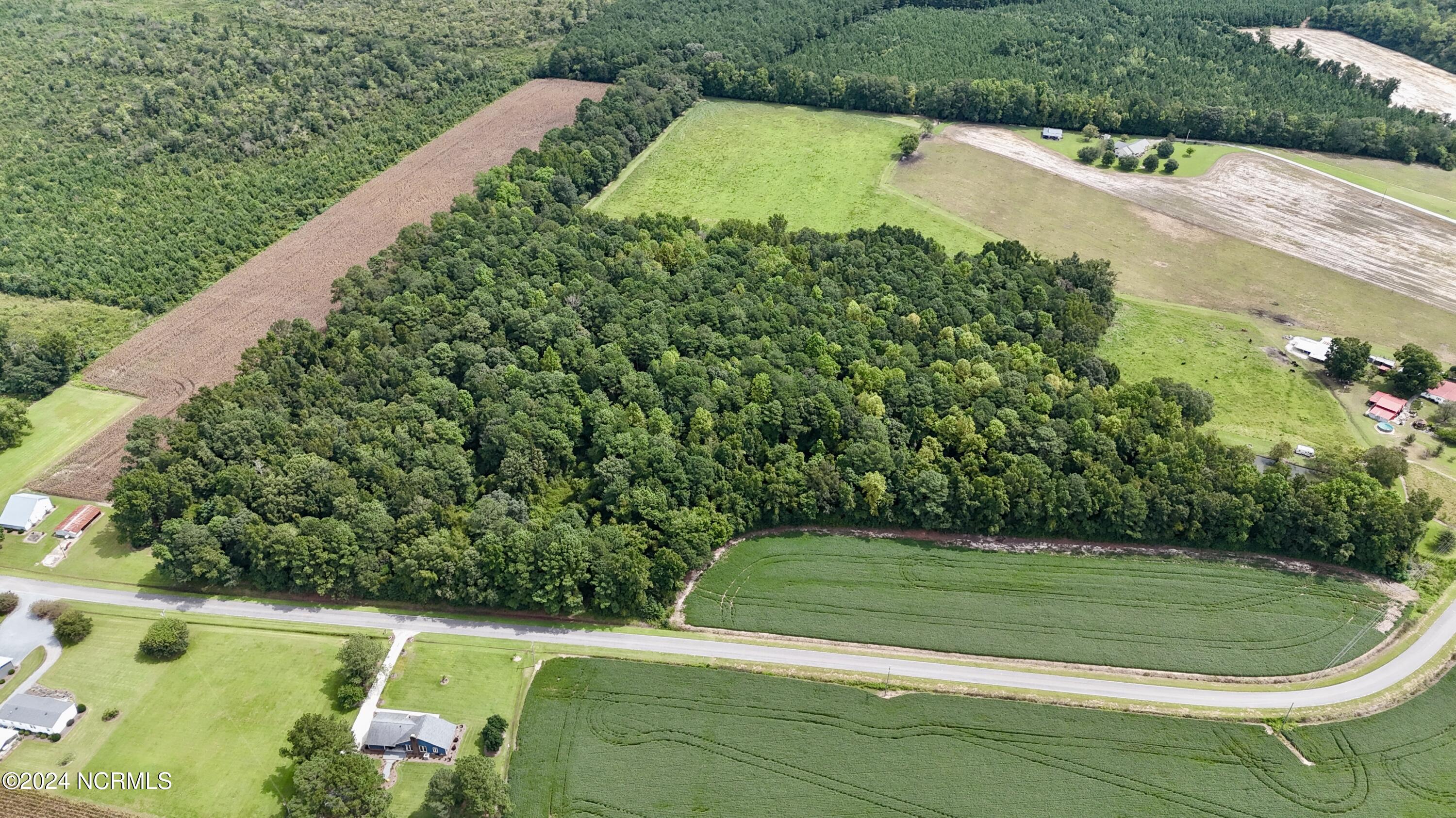 0 Earl Davis Road Teachey, NC 28464 - Photo 4 of 8 drone 3