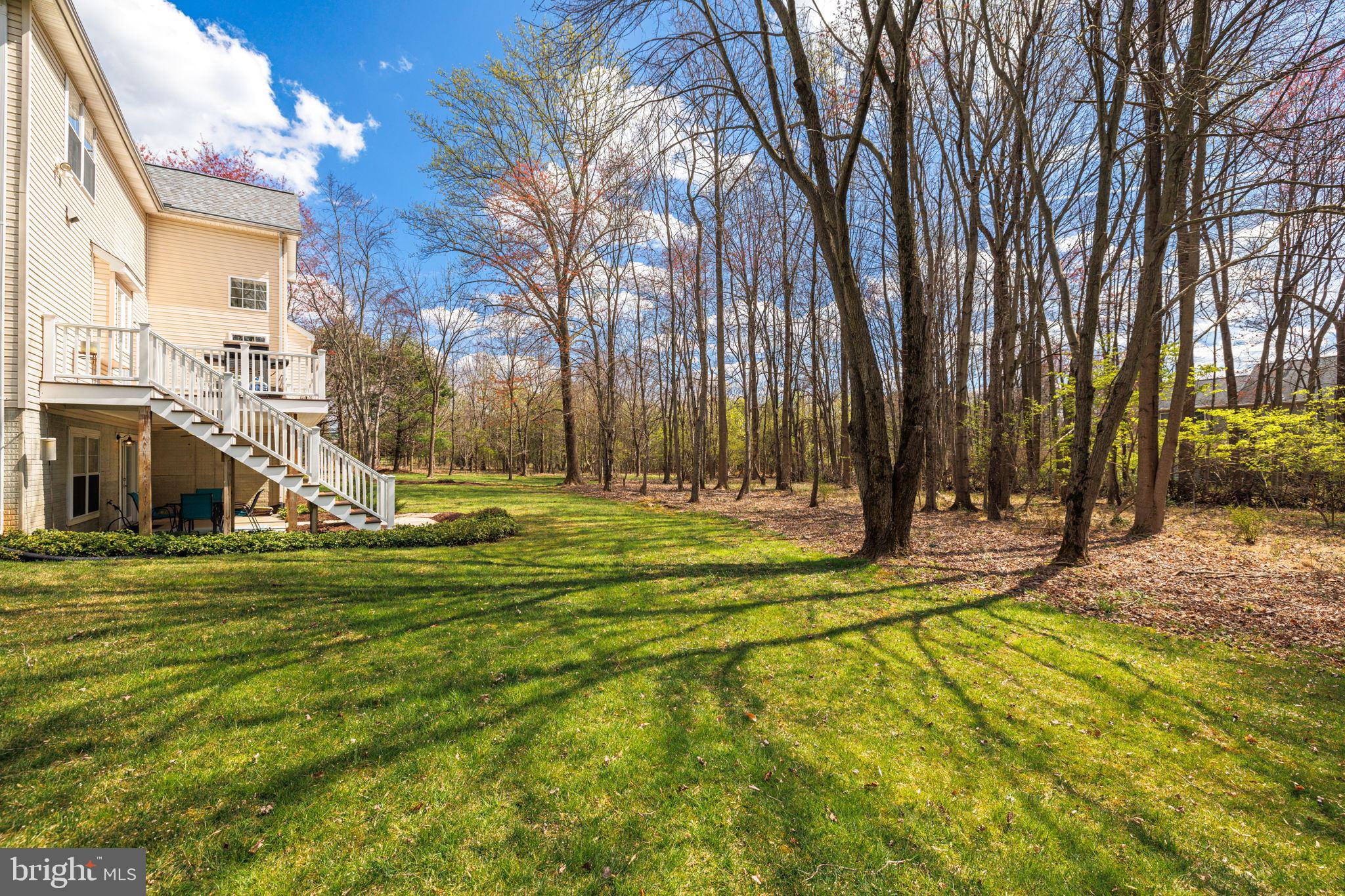 15529 Thompson Road Silver Spring, MD 20905 - Photo 54 of 64 from rear side yard