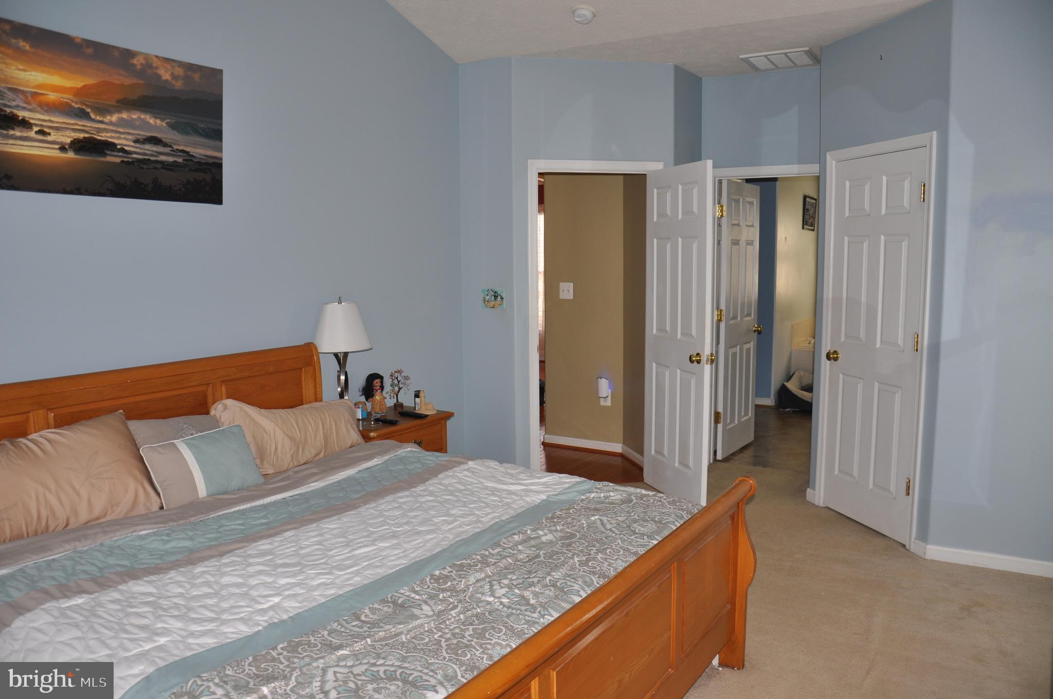10621 Gallant Fox Way Ruther Glen, VA 22546 - Photo 27 of 65 a bedroom with a bed and painting on the wall