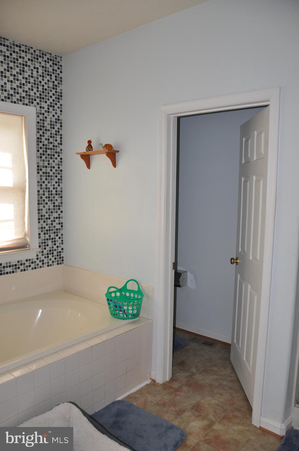 10621 Gallant Fox Way Ruther Glen, VA 22546 - Photo 30 of 65 a bathroom with a bathtub and a shower