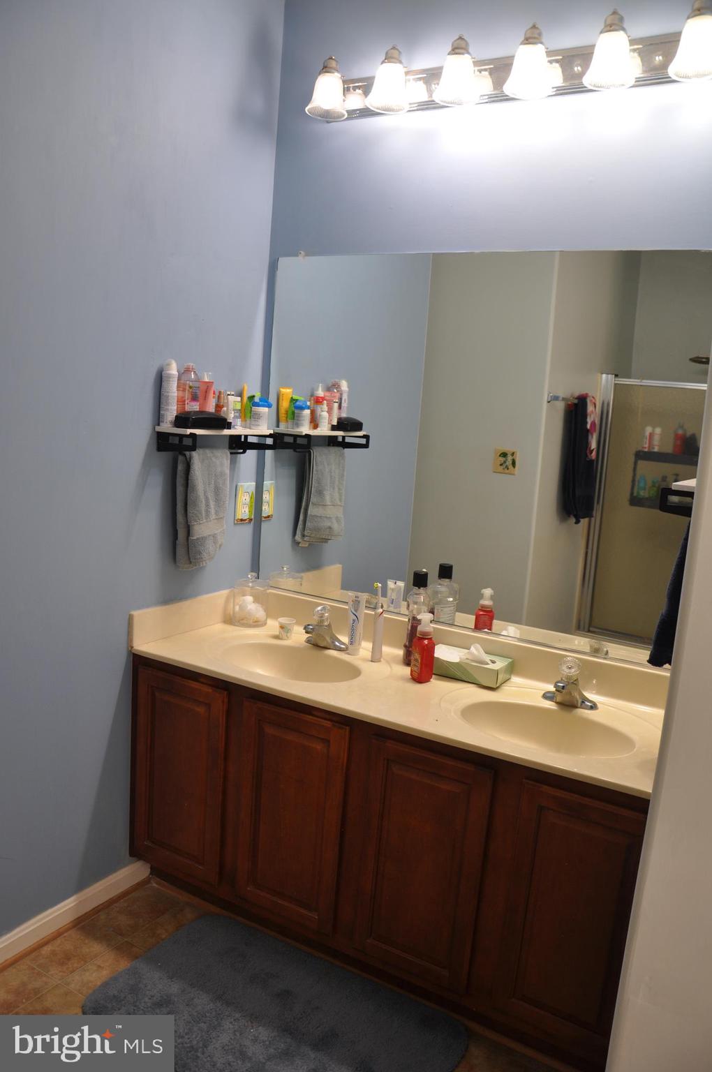 10621 Gallant Fox Way Ruther Glen, VA 22546 - Photo 34 of 65 a bathroom with a sink and a mirror