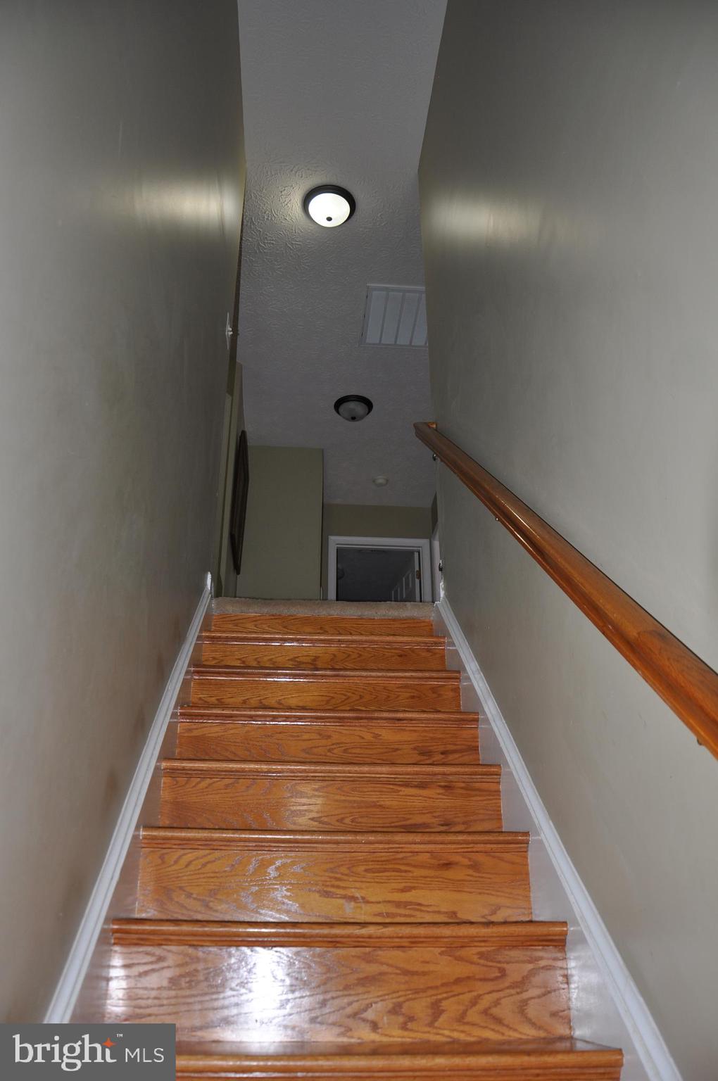 10621 Gallant Fox Way Ruther Glen, VA 22546 - Photo 37 of 65 a view of entryway
